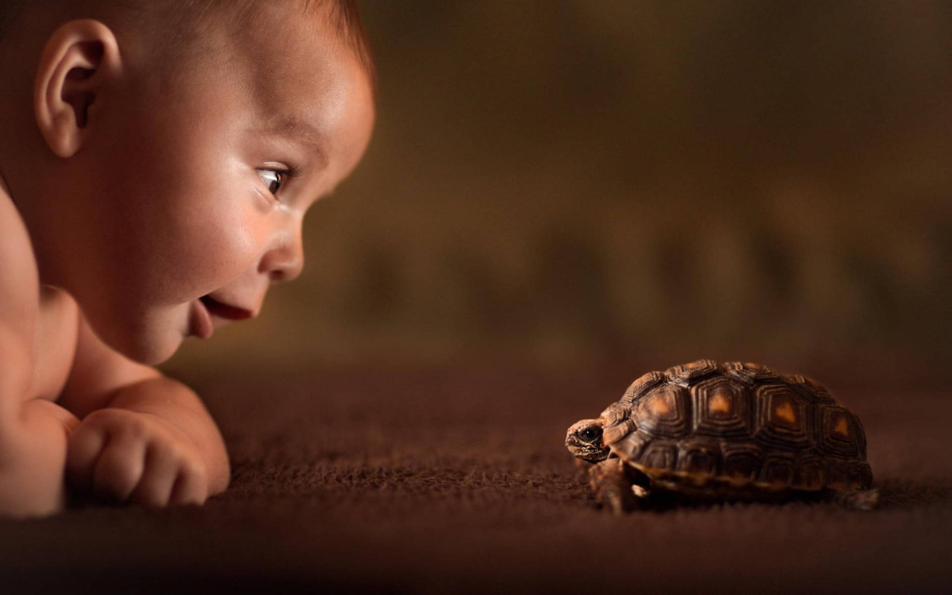 Cool na Pagong kasama si Baby Wallpaper