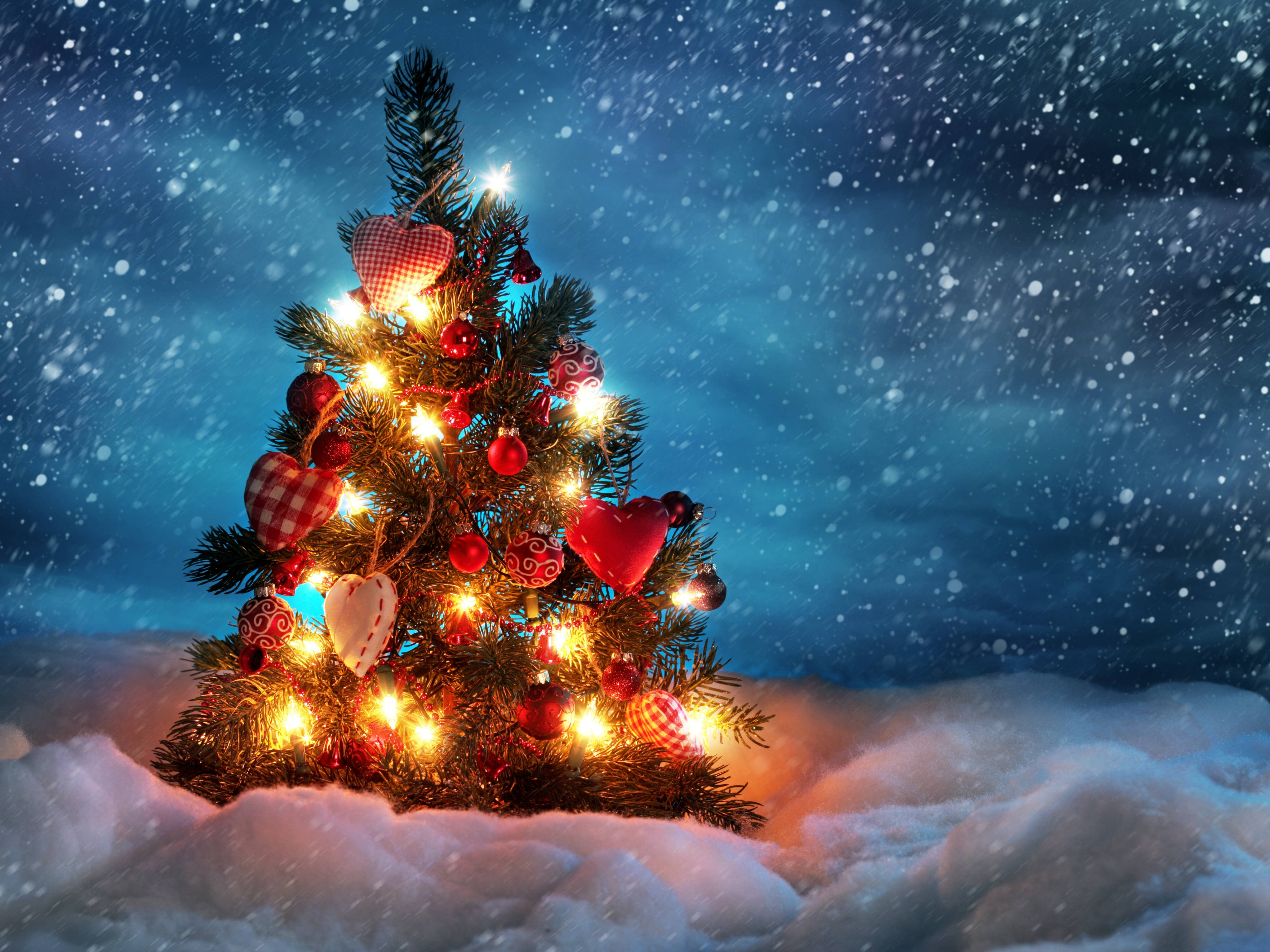 Cool na Snowy Christmas Tree Display Desktop Wallpaper