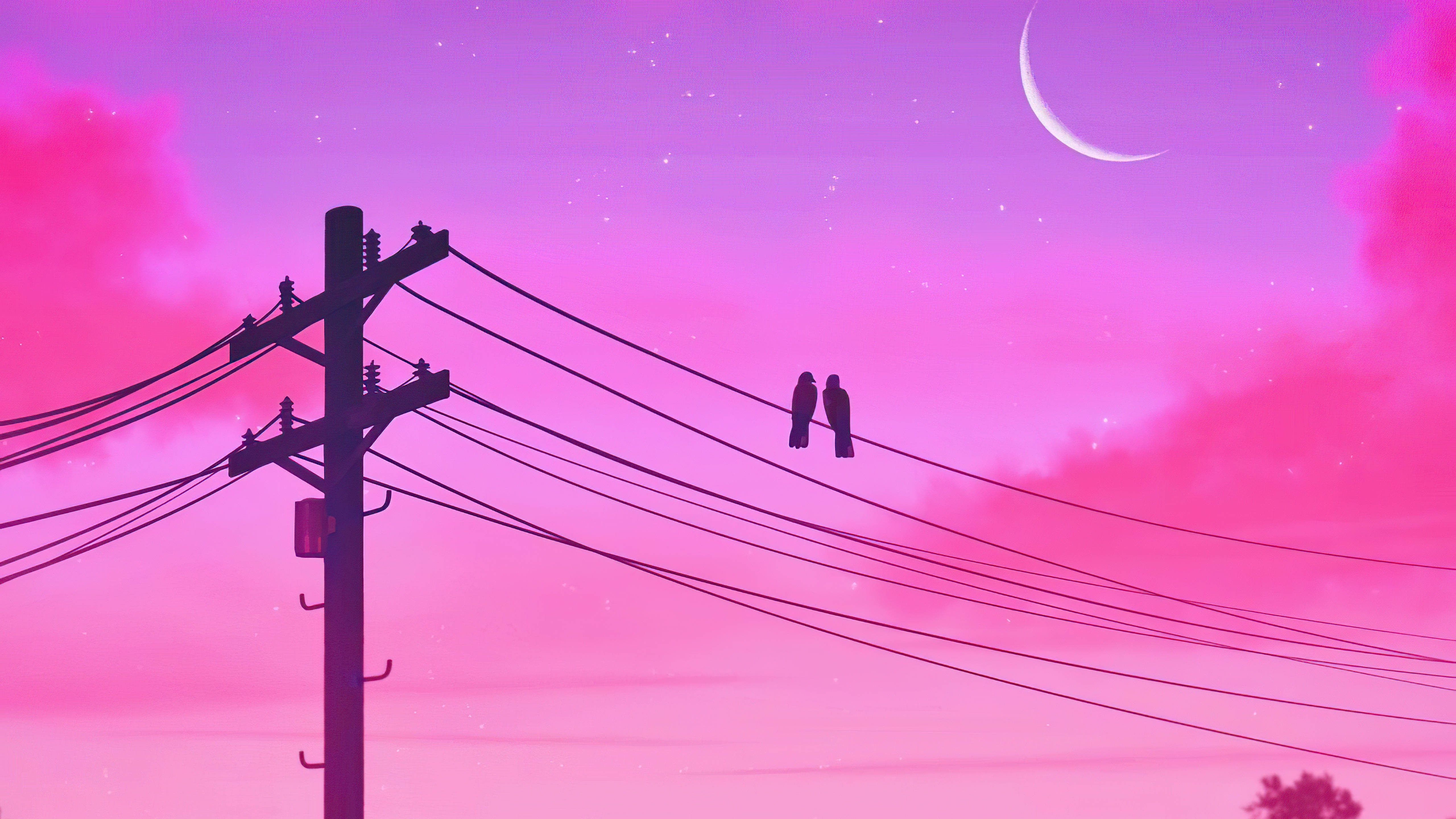 Crescent Aesthetic Moon At Love Birds Wallpaper