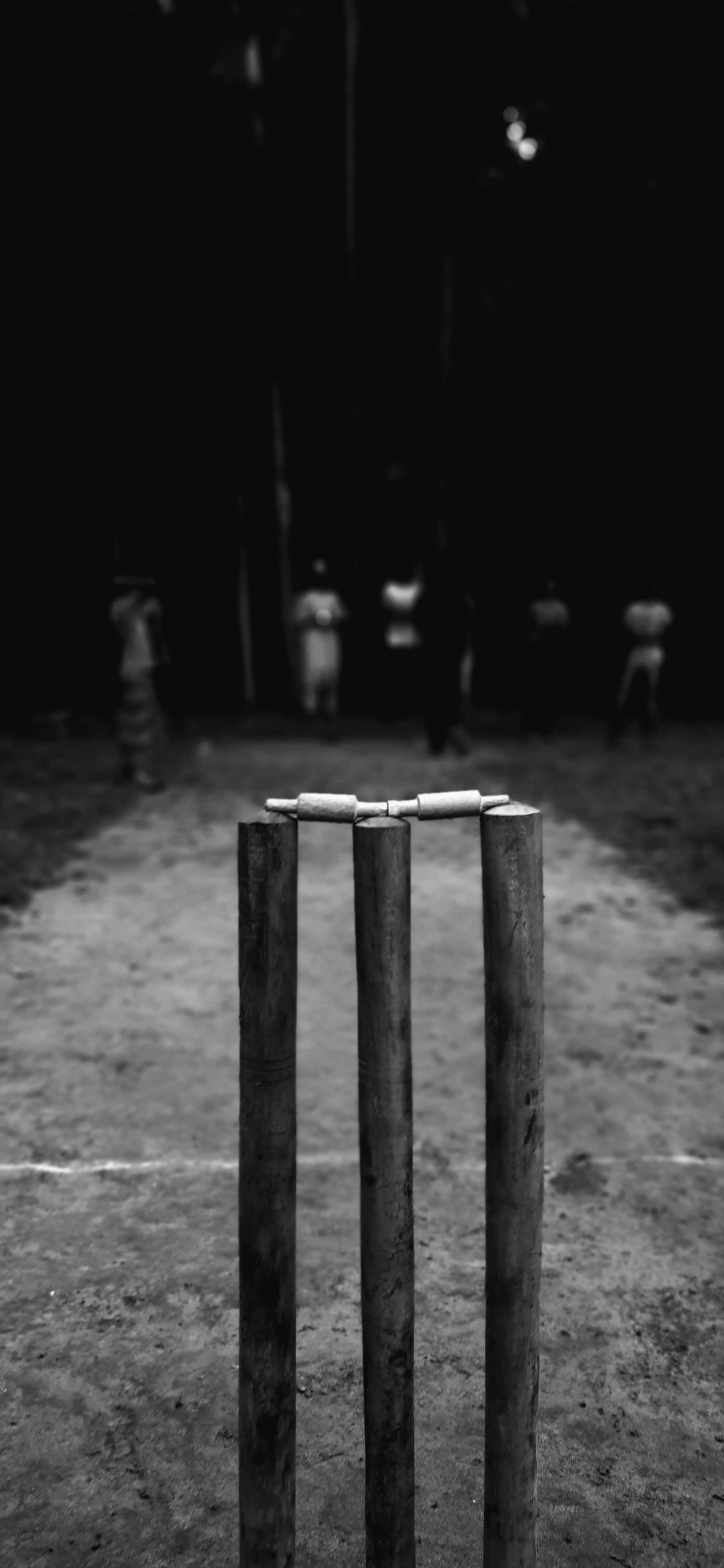 Cricket Wooden Stump sa Greyscale Wallpaper