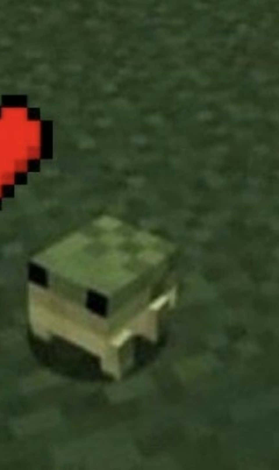 Cute Frog Mula sa Minecraft Profile Picture Wallpaper