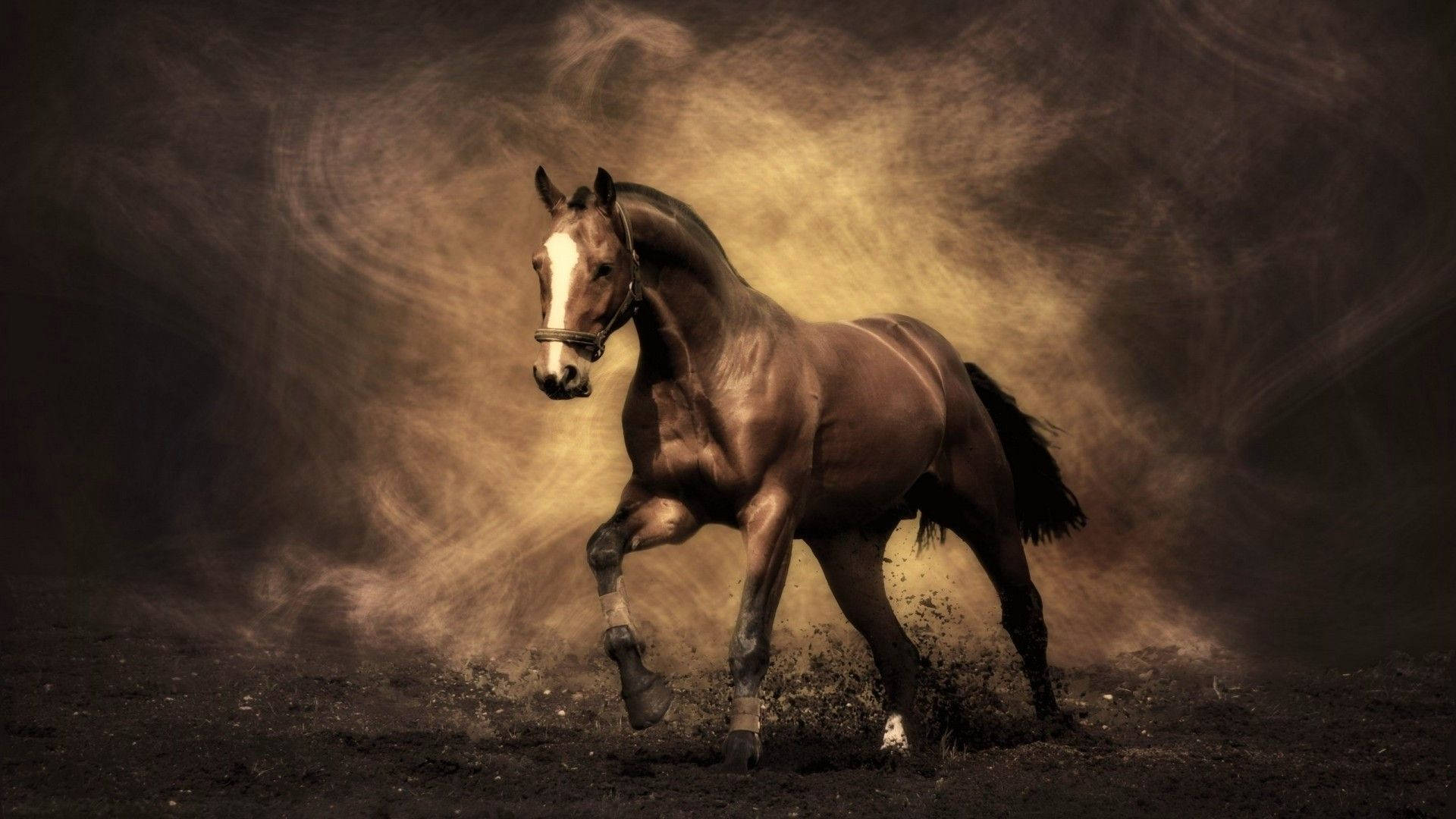 Cute Horse na May Puting Marka Wallpaper