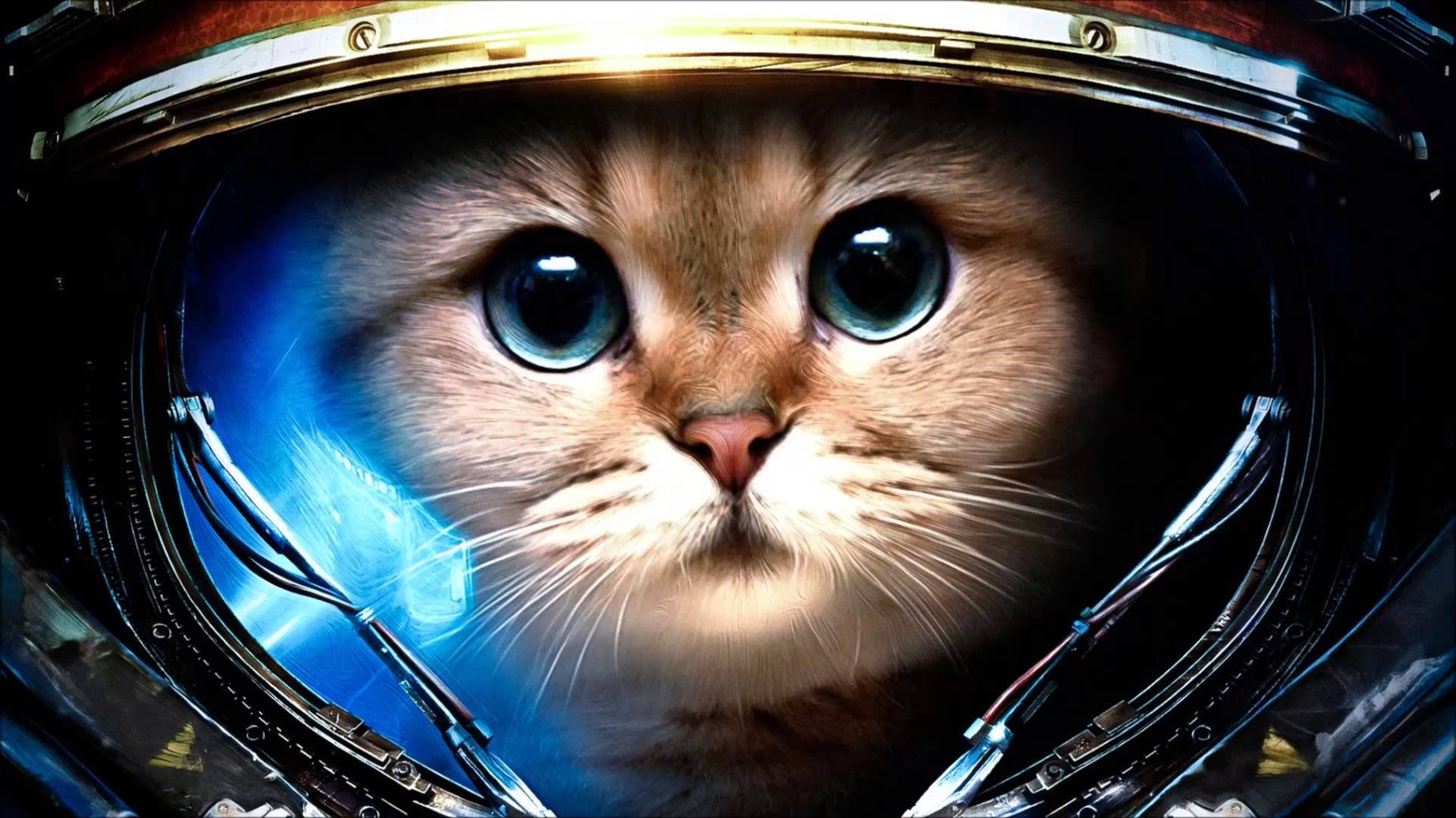 Cute na Astronaut na Pusa sa Computer Wallpaper