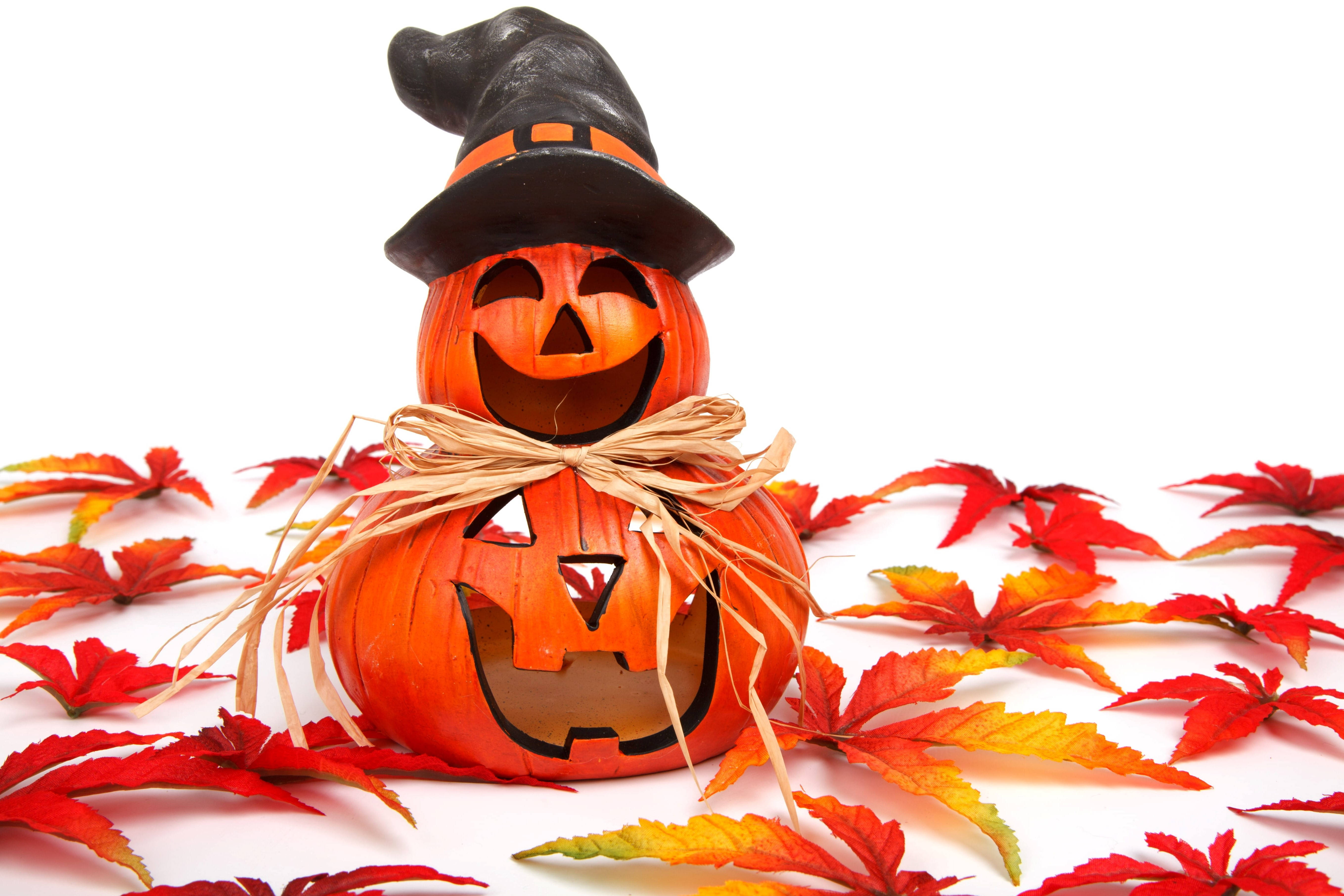 Cute na Halloween Autumn Jack O' Lantern Wallpaper