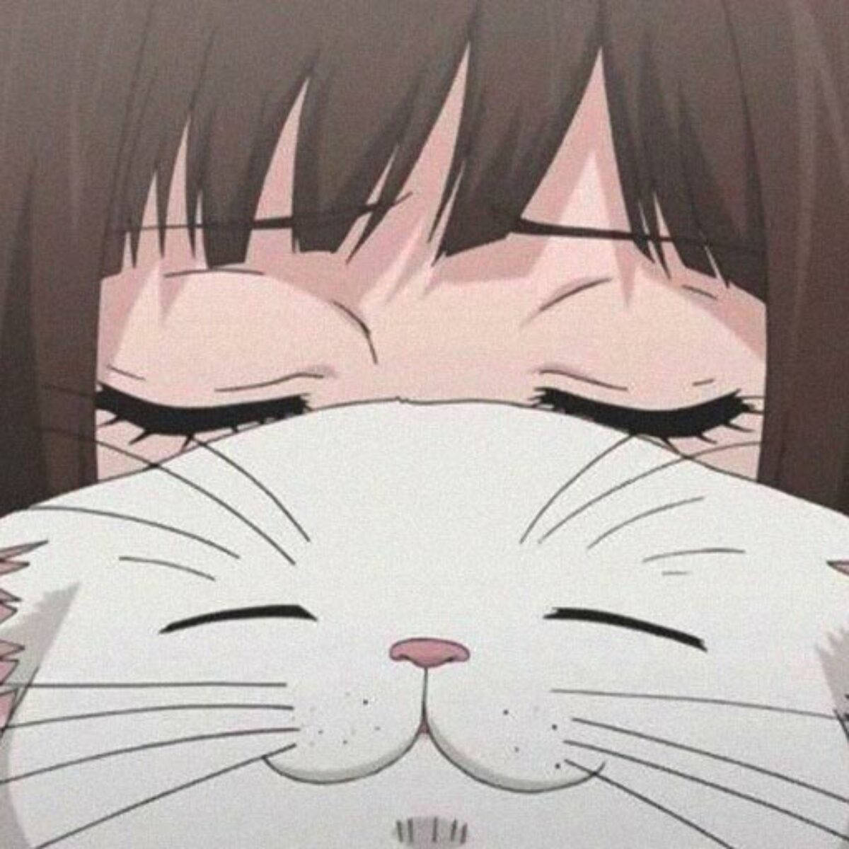 Cute PFP na Pusa na May Anime na Babae Wallpaper