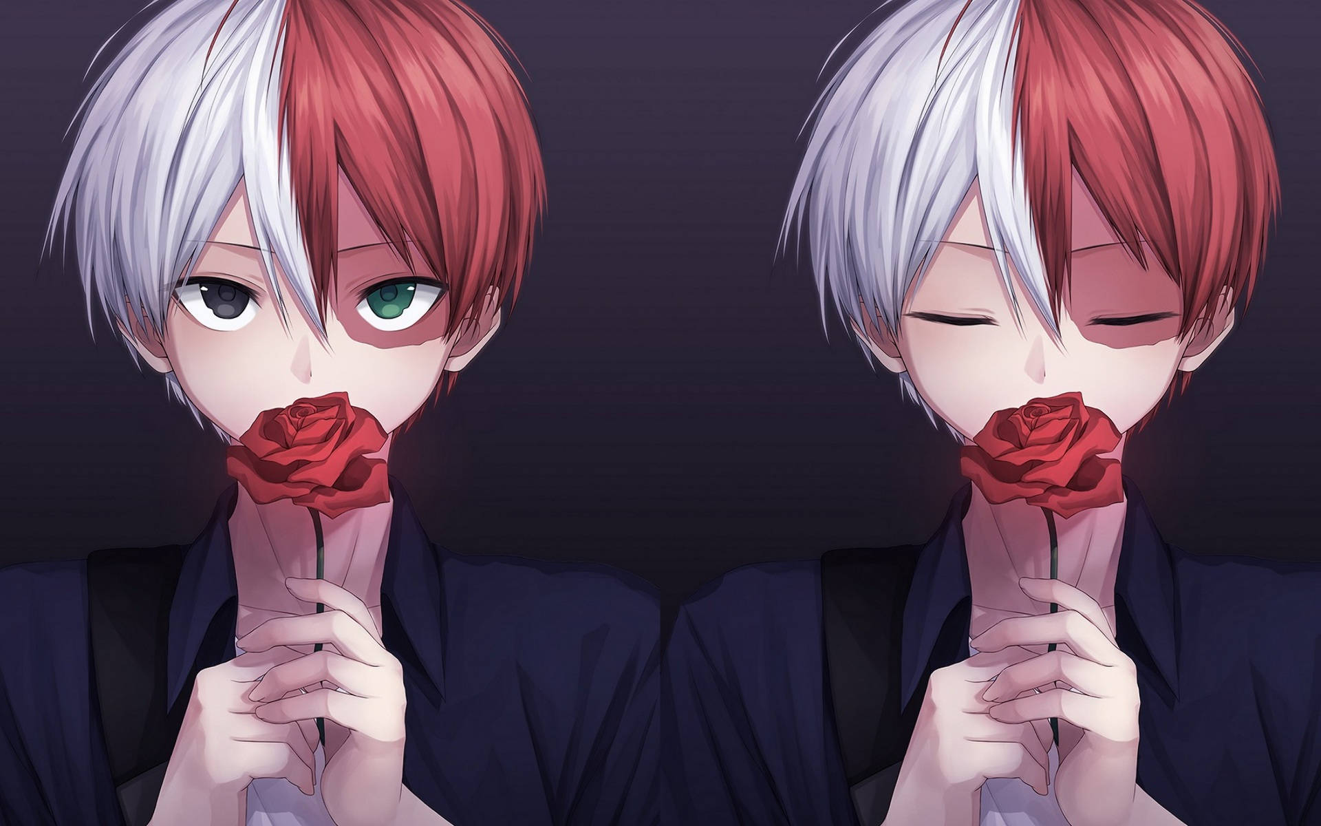 Cute Todoroki na May Hawak na Pulang Rosas Wallpaper