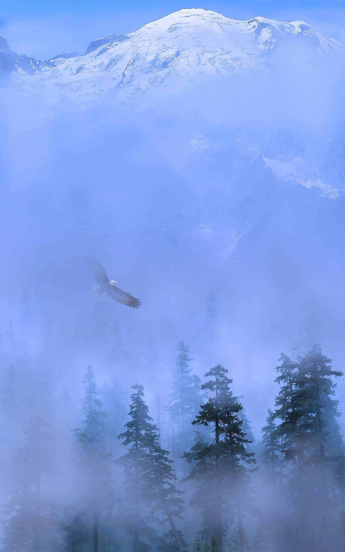 Dagdagan ang produktibidad gamit ang Vertical Monitor Wallpaper
