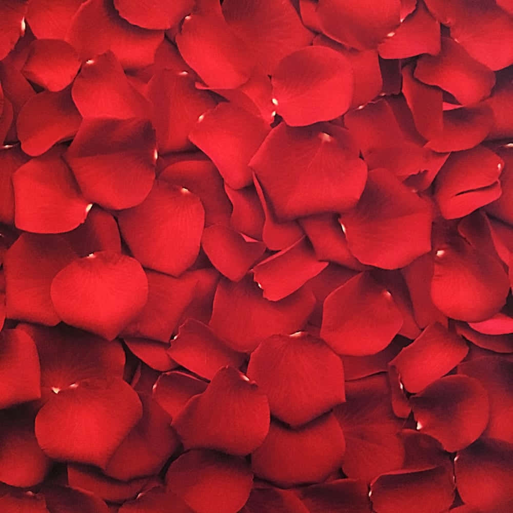 Dagdagan ng kulay ang iyong buhay gamit ang Red Aesthetic Wallpaper