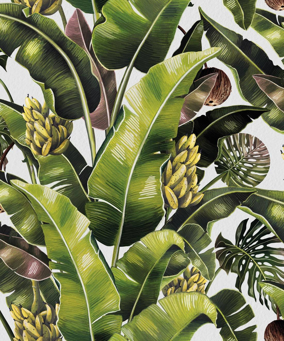 Dahon ng Saging at mga Tropikal na Prutas Wallpaper