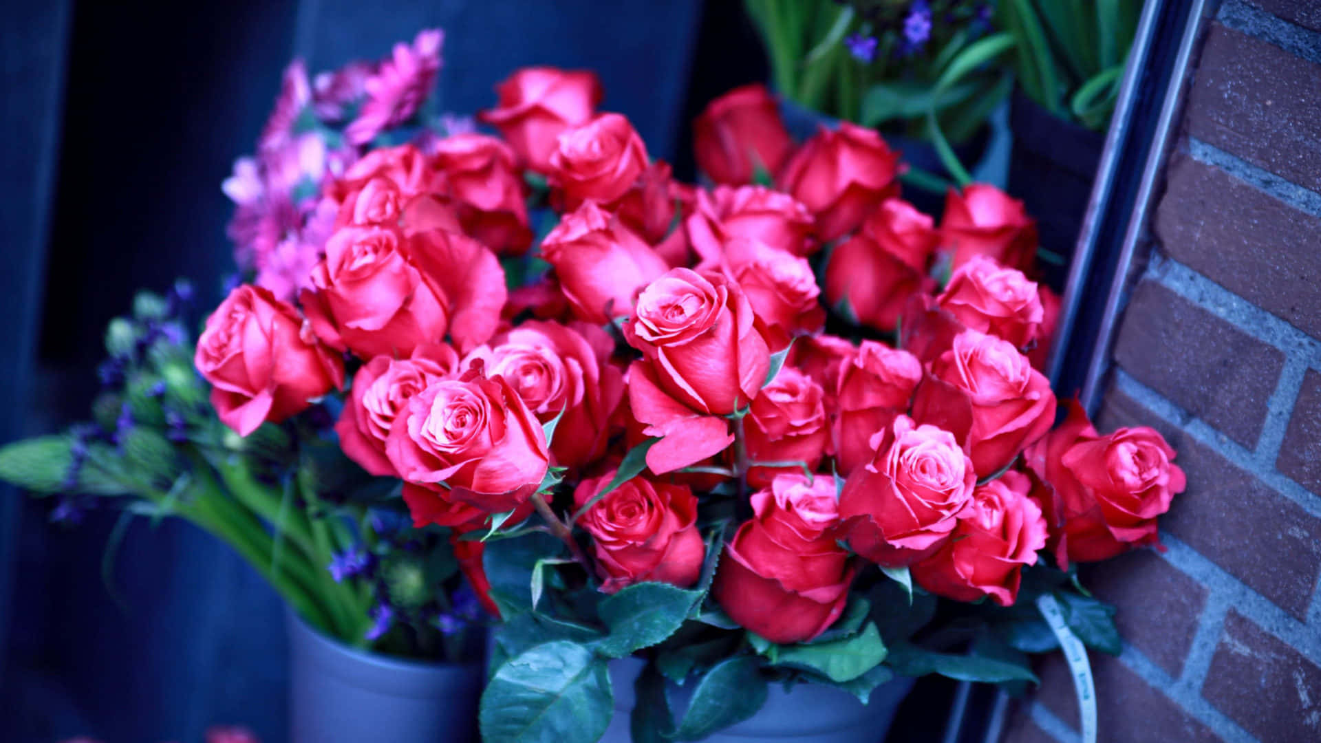 Dalawang Bouquet ng Rosas Wallpaper