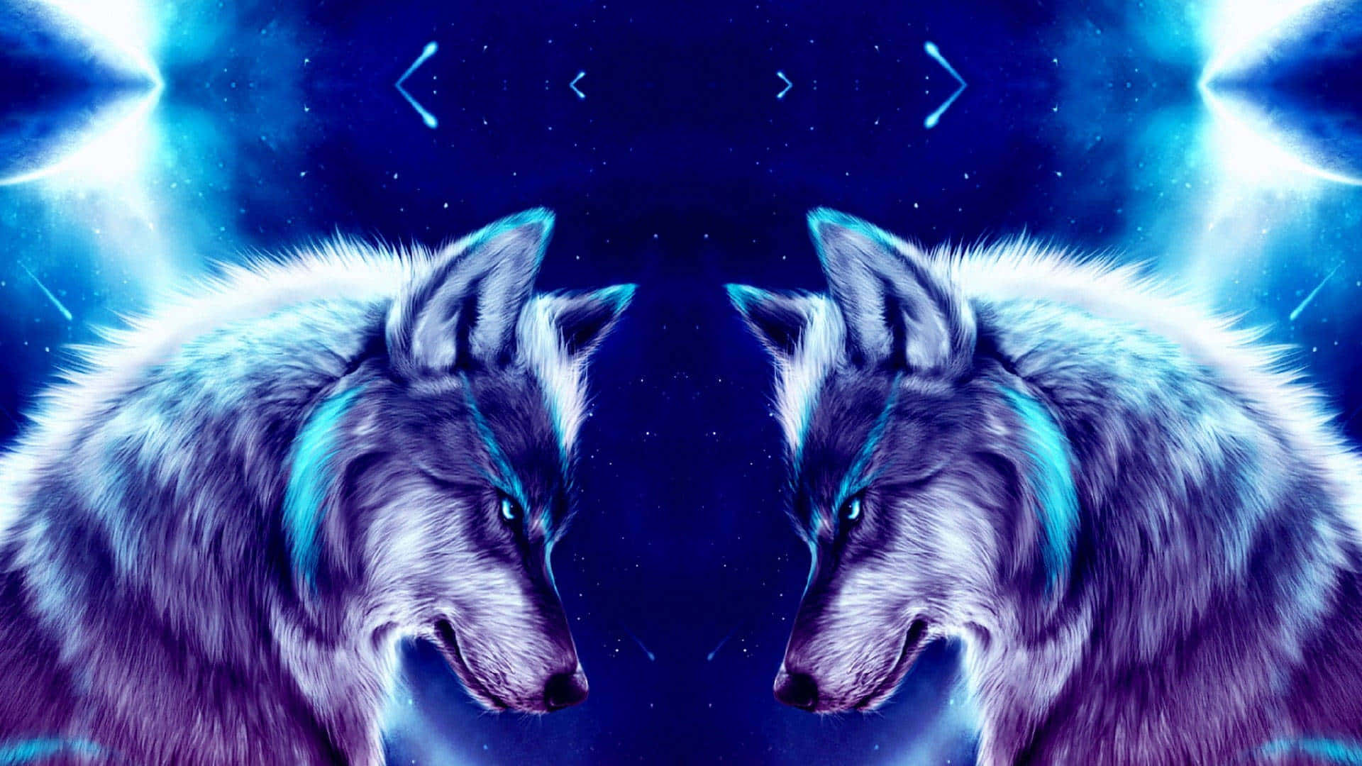 dalawang lobo sa kalangitan ng gabi Wallpaper