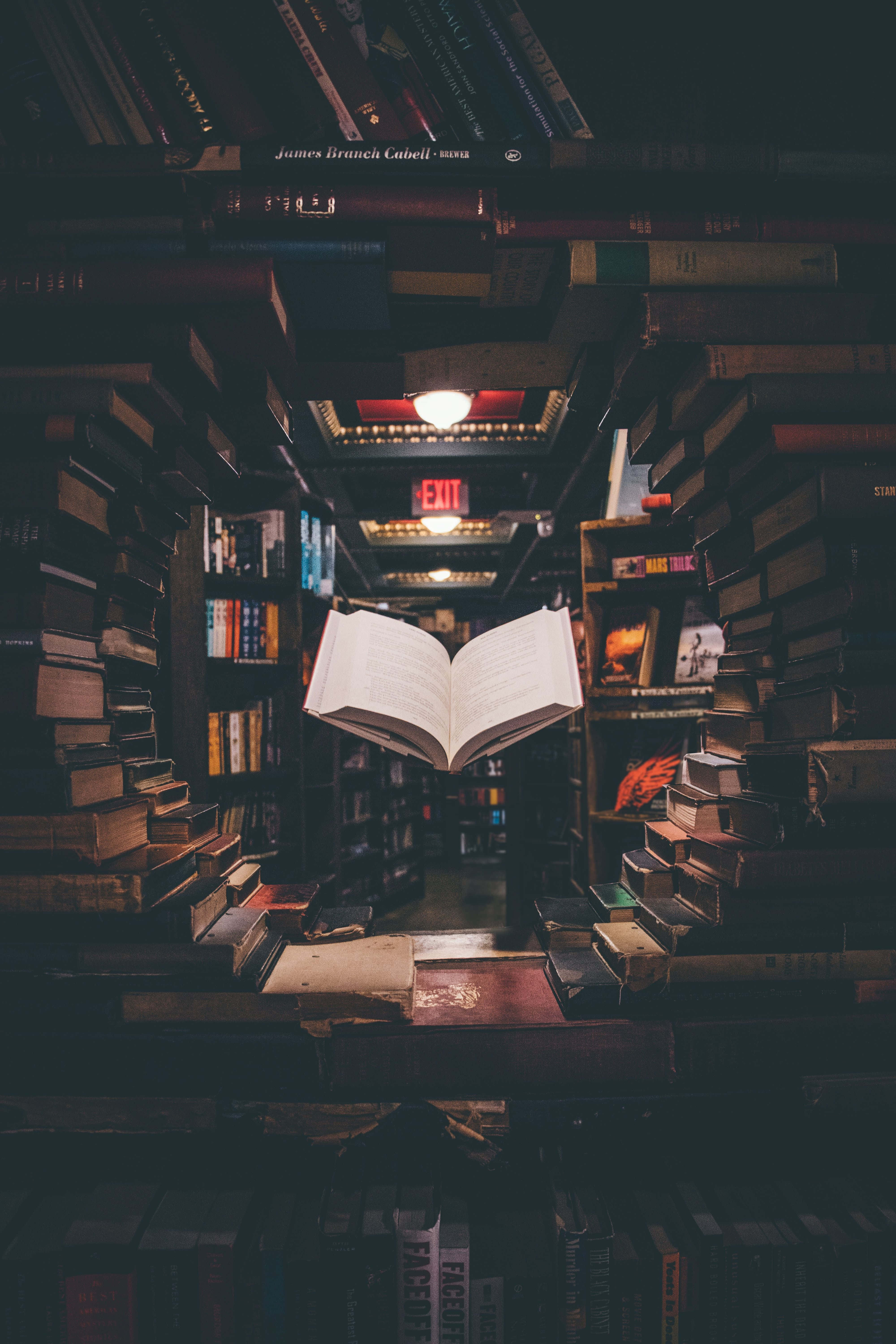 Dark Academia Aesthetic 4000 x 6000 background Wallpaper