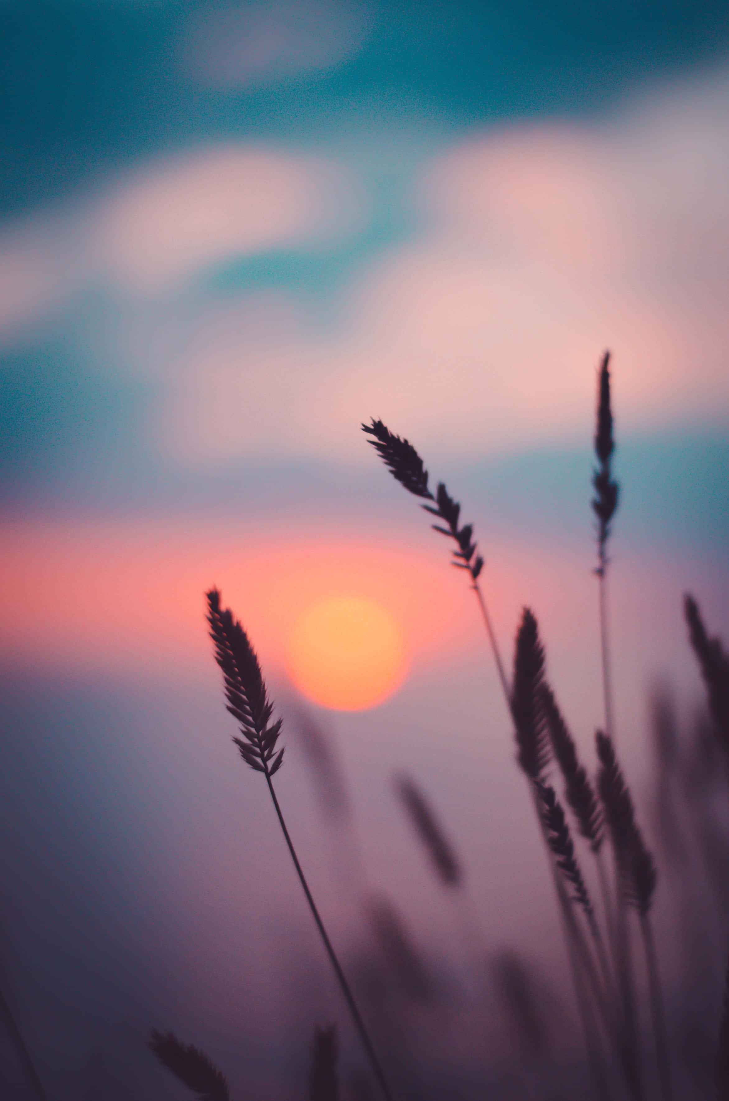 Dark Aesthetic Sunset Background Wallpaper