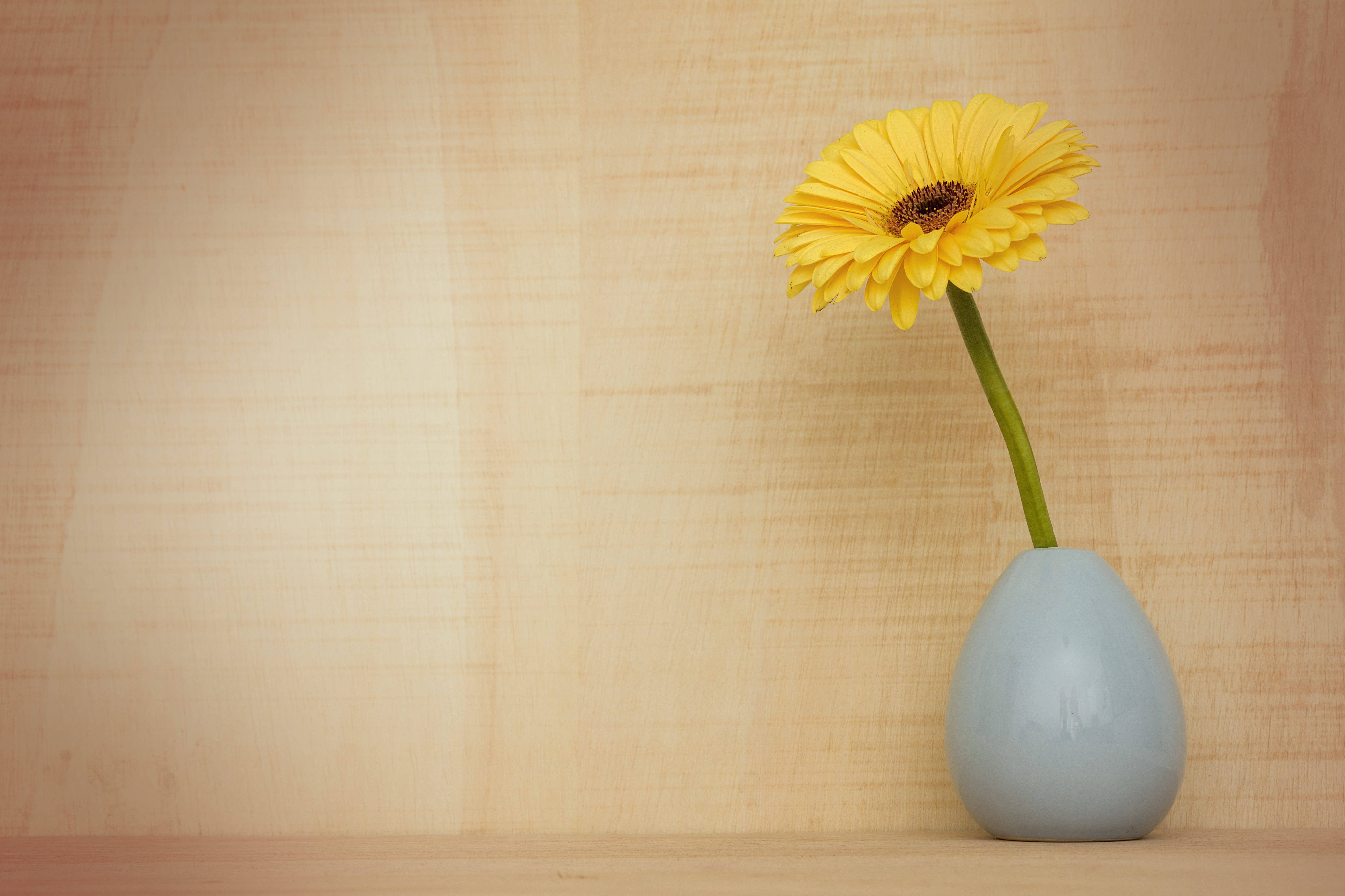 Disenyo ng Background na may Plorera ng Sunflower Wallpaper