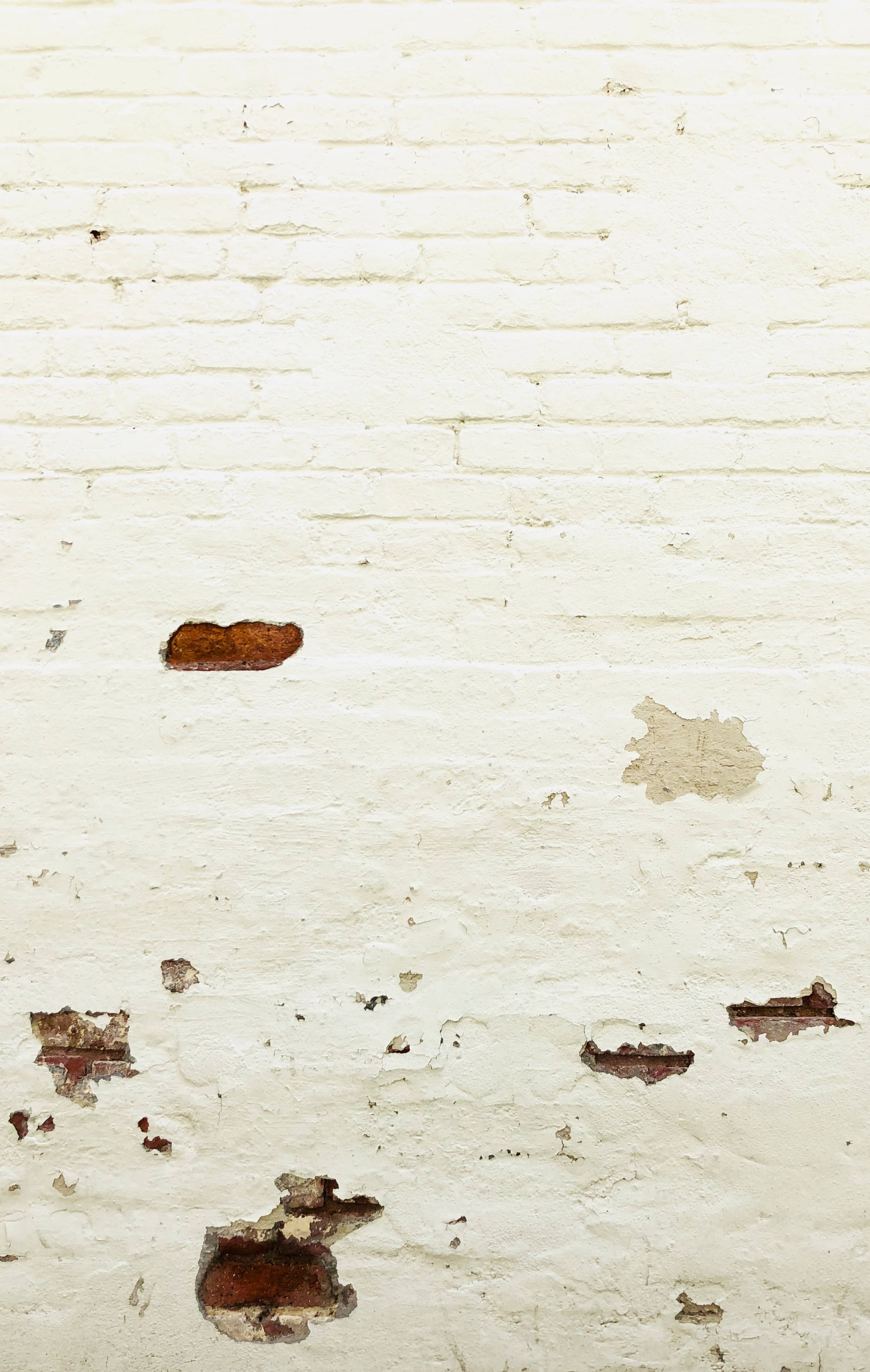 Nasirang Puting Brick na Pader Wallpaper
