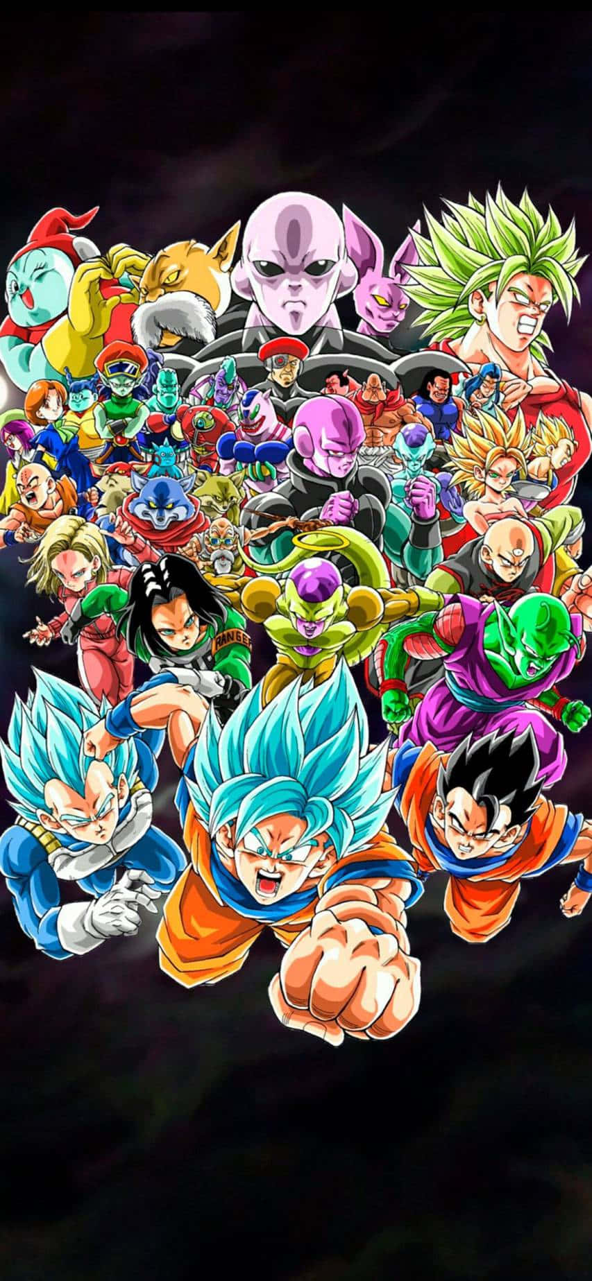 Dragon Ball Z Characters Picture Wallpaper
