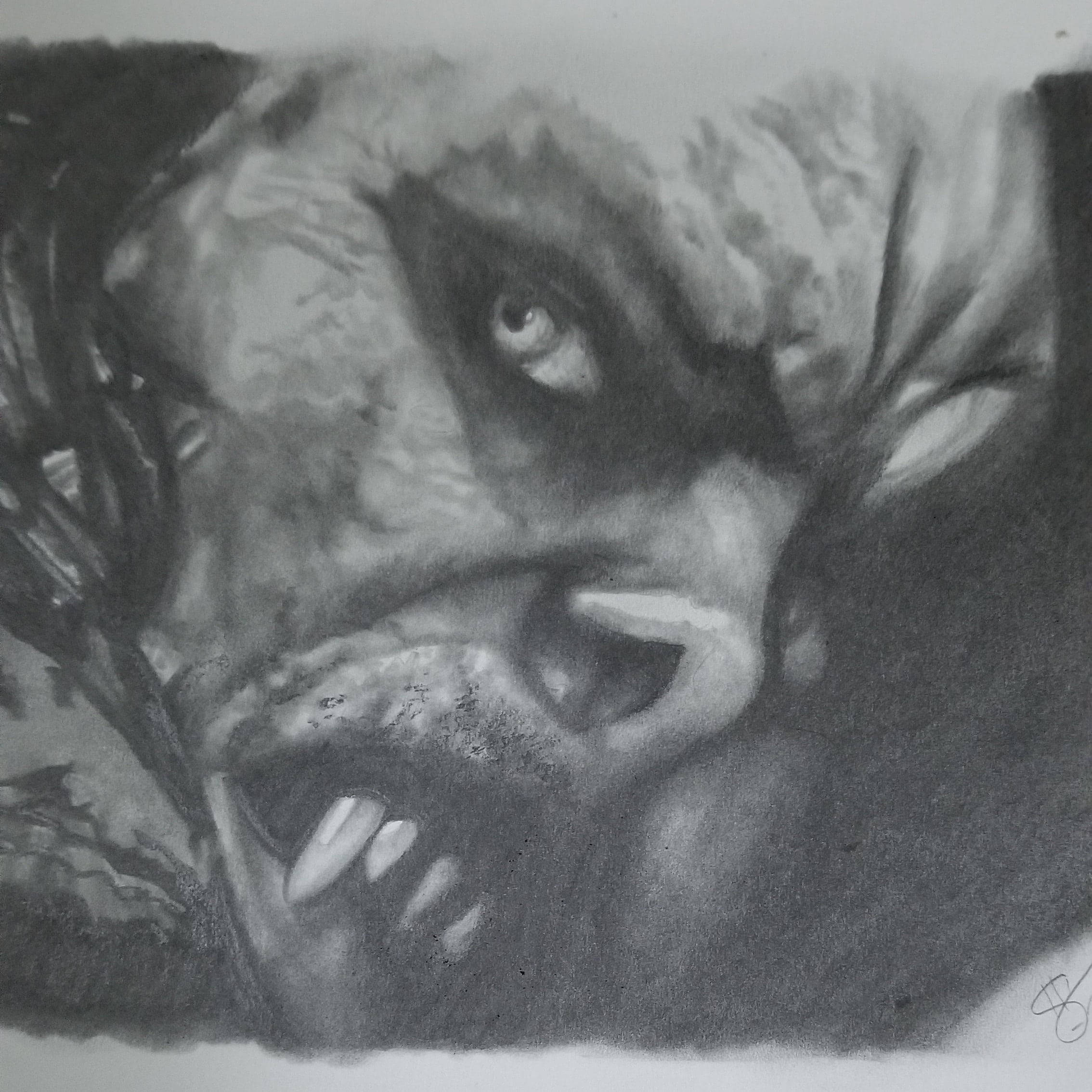 Drawing ng Mukha ni Morbius Wallpaper
