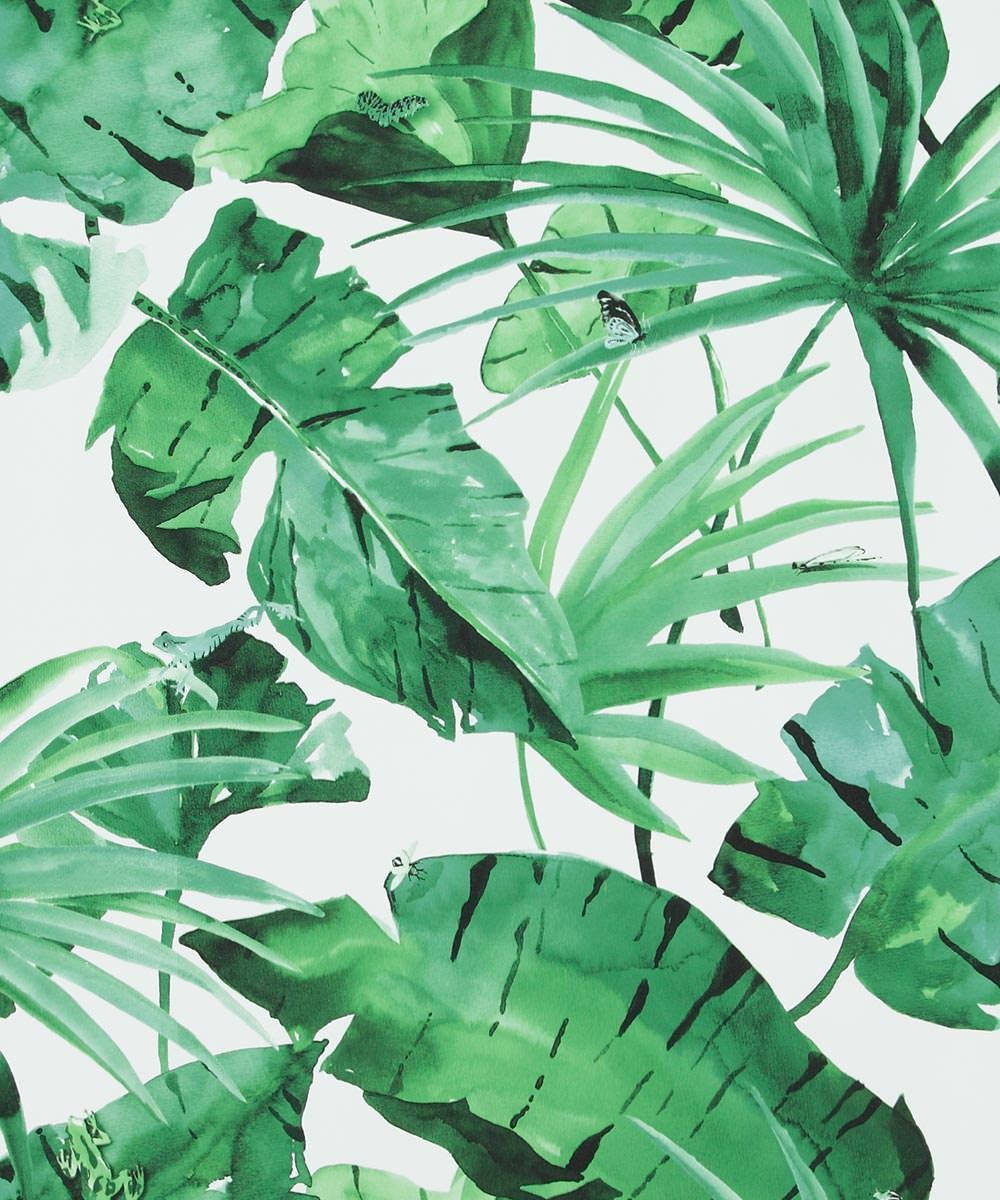 Eco-friendly na unan na gawa sa dahon ng saging Wallpaper
