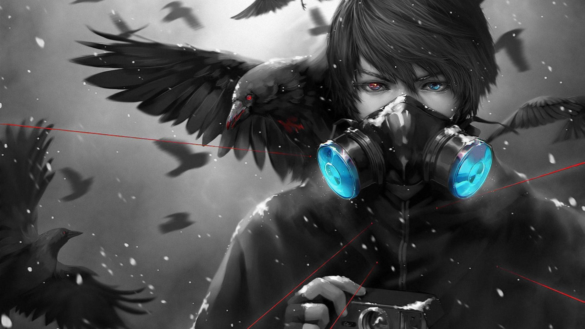 Edgy Anime Pfp na Uwak at Lalaki Wallpaper