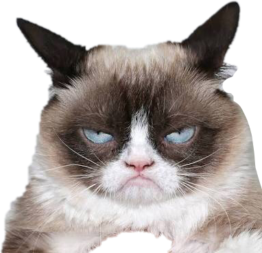 Ekspresyong Galit na Pusa.PNG Wallpaper