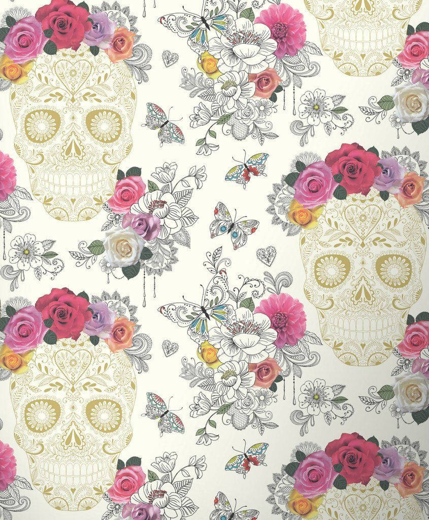Eleganteng Bungo ng Asukal sa Puting Background Wallpaper