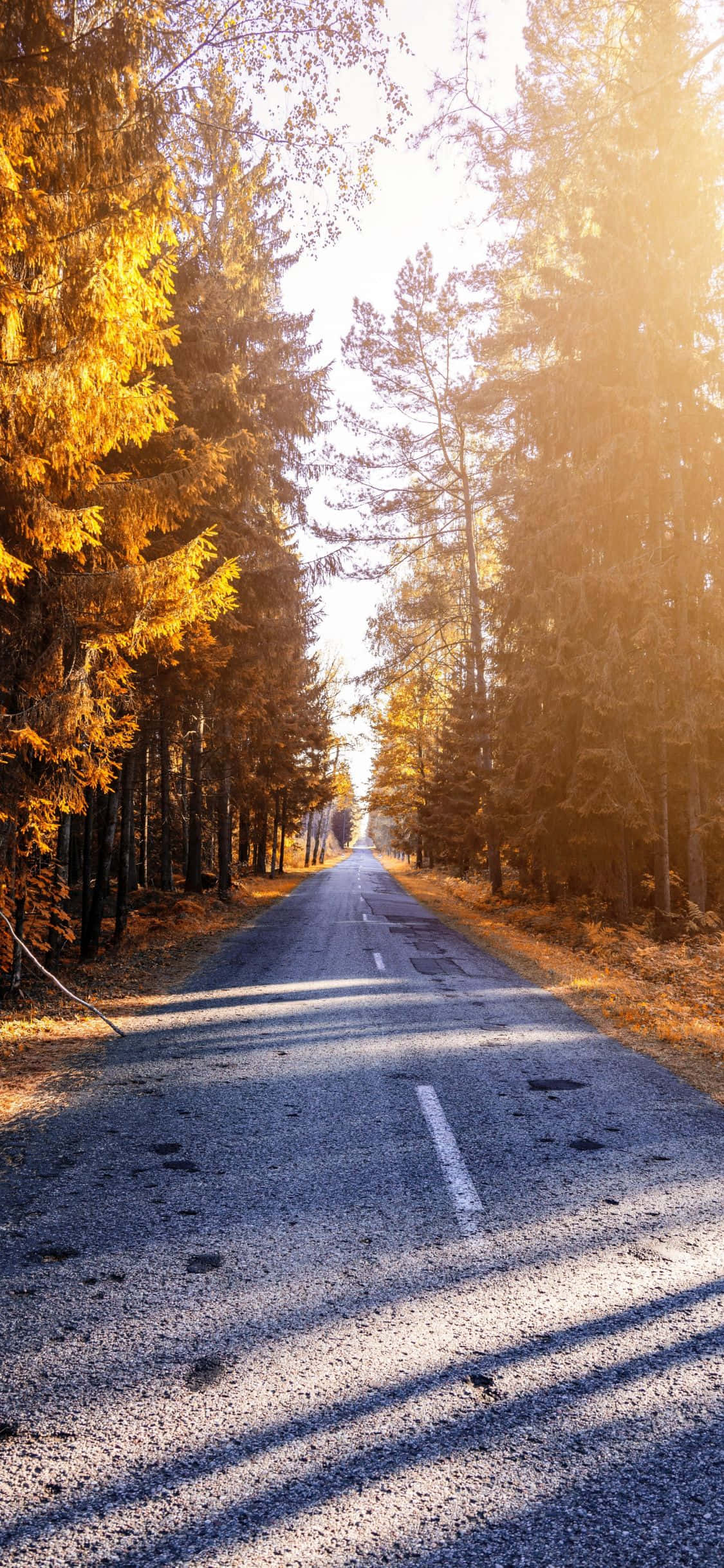 Yakapin ang Katahimikan - iPhone X Nature Background Wallpaper