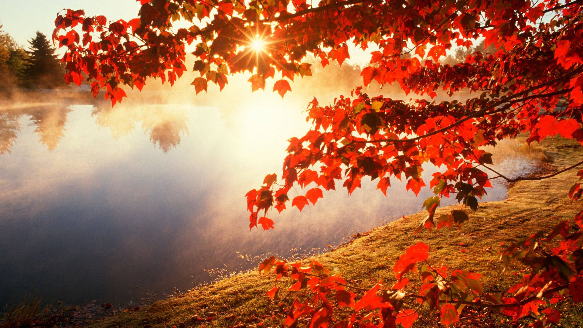 Embrace the beauty of Fall Wallpaper