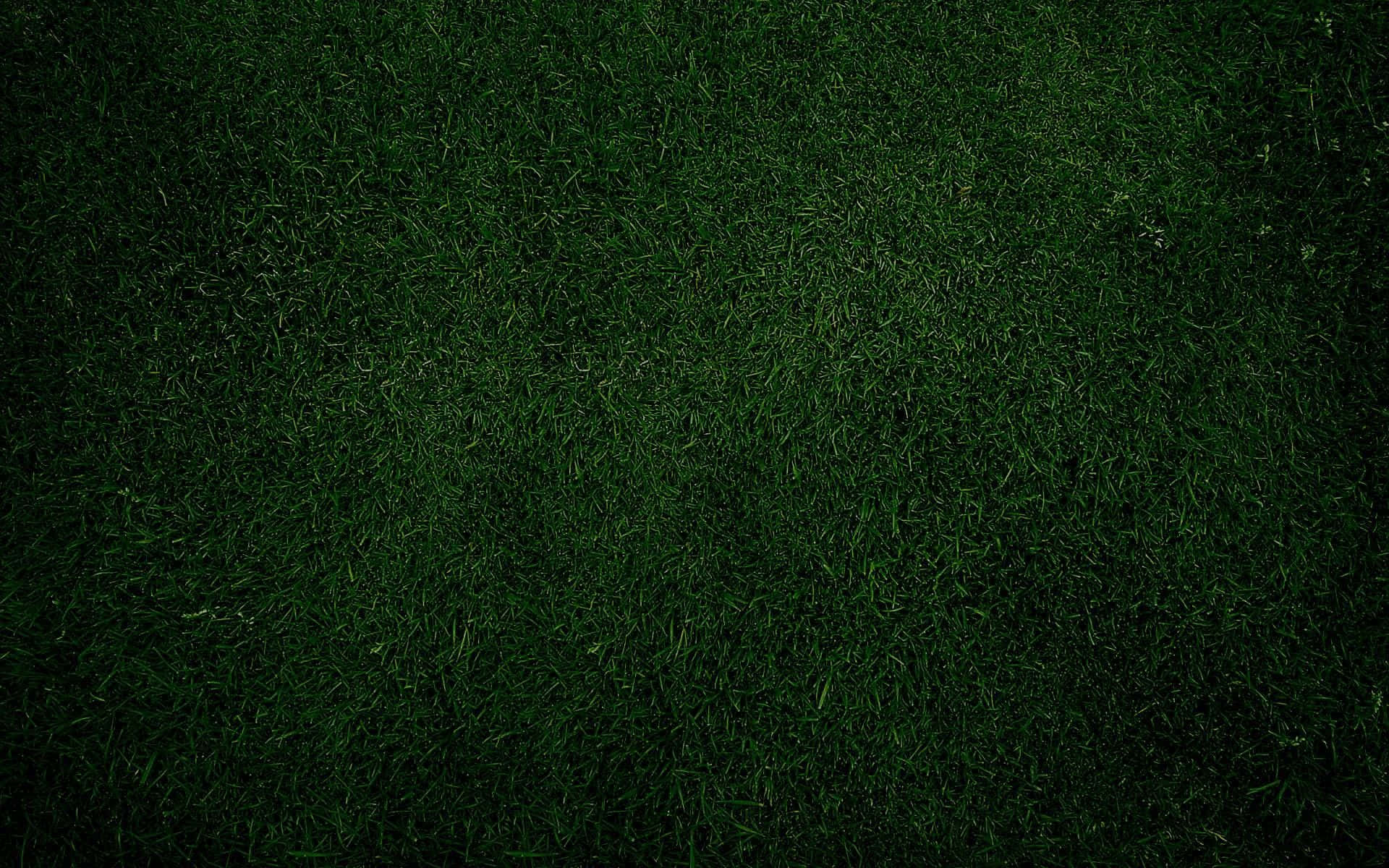 Emerald Symphony: Isang Pangarap na Maitim na Berdeng Aesthetic Wallpaper