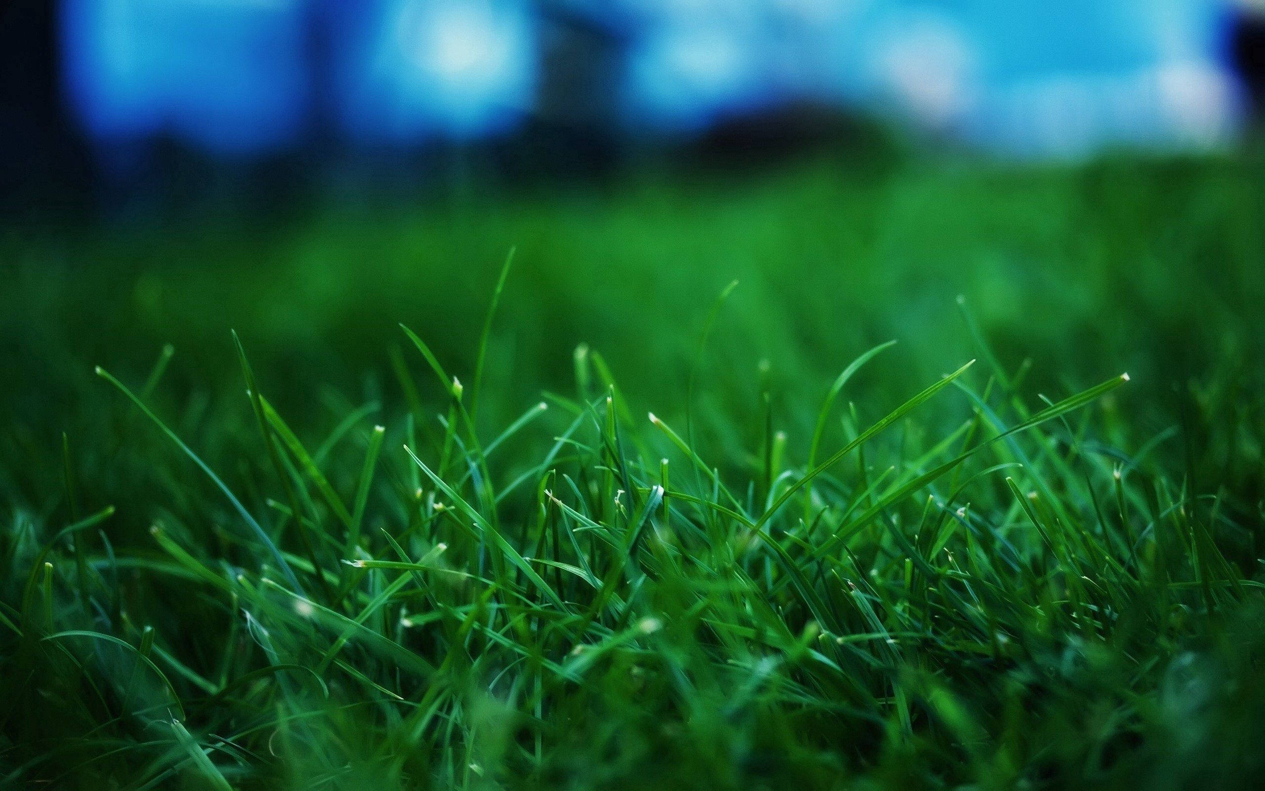 Enjoy a beautiful summer day Wallpaper