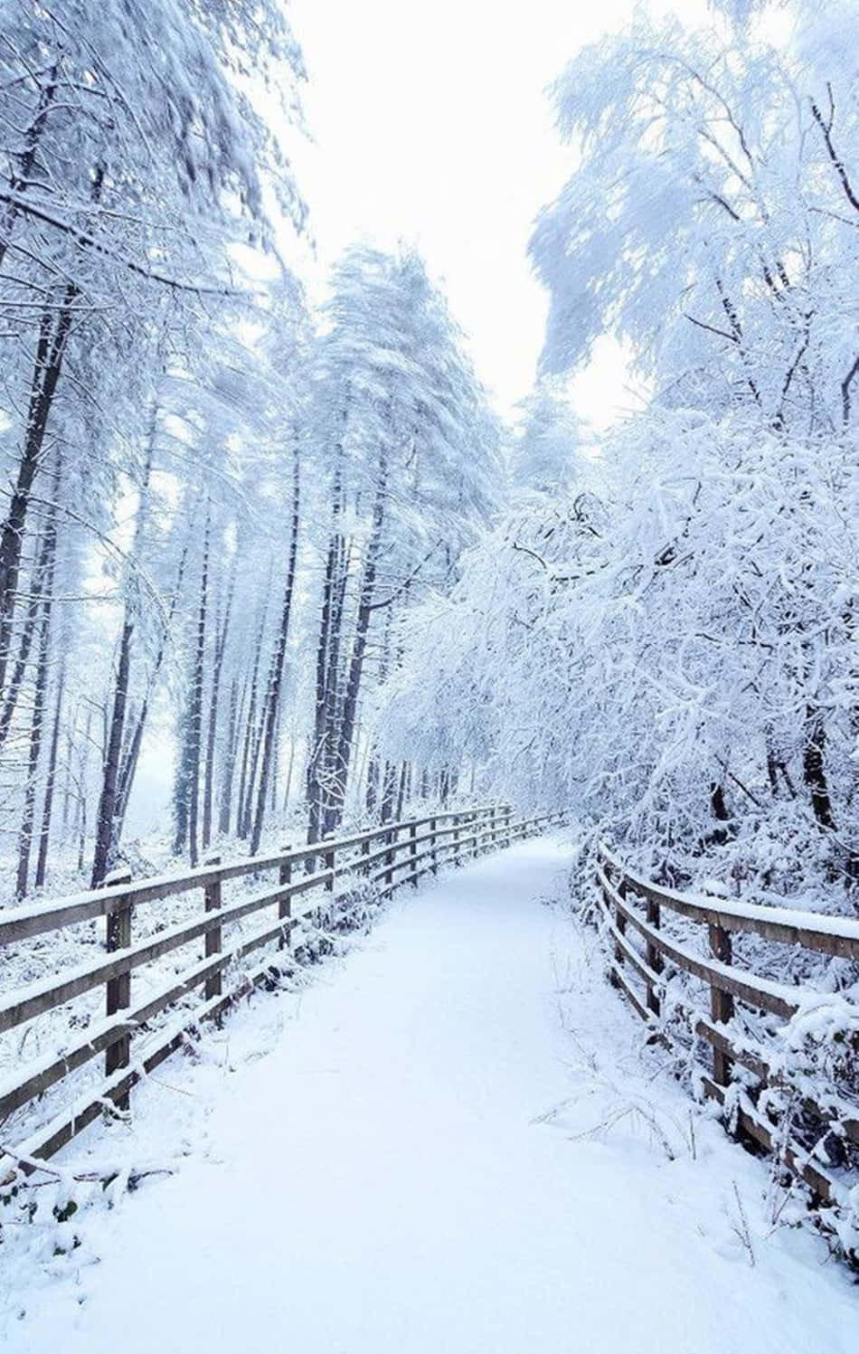 Enjoy ang preskong snow habang nagkakamping kasama ang iyong Snow iPhone Wallpaper