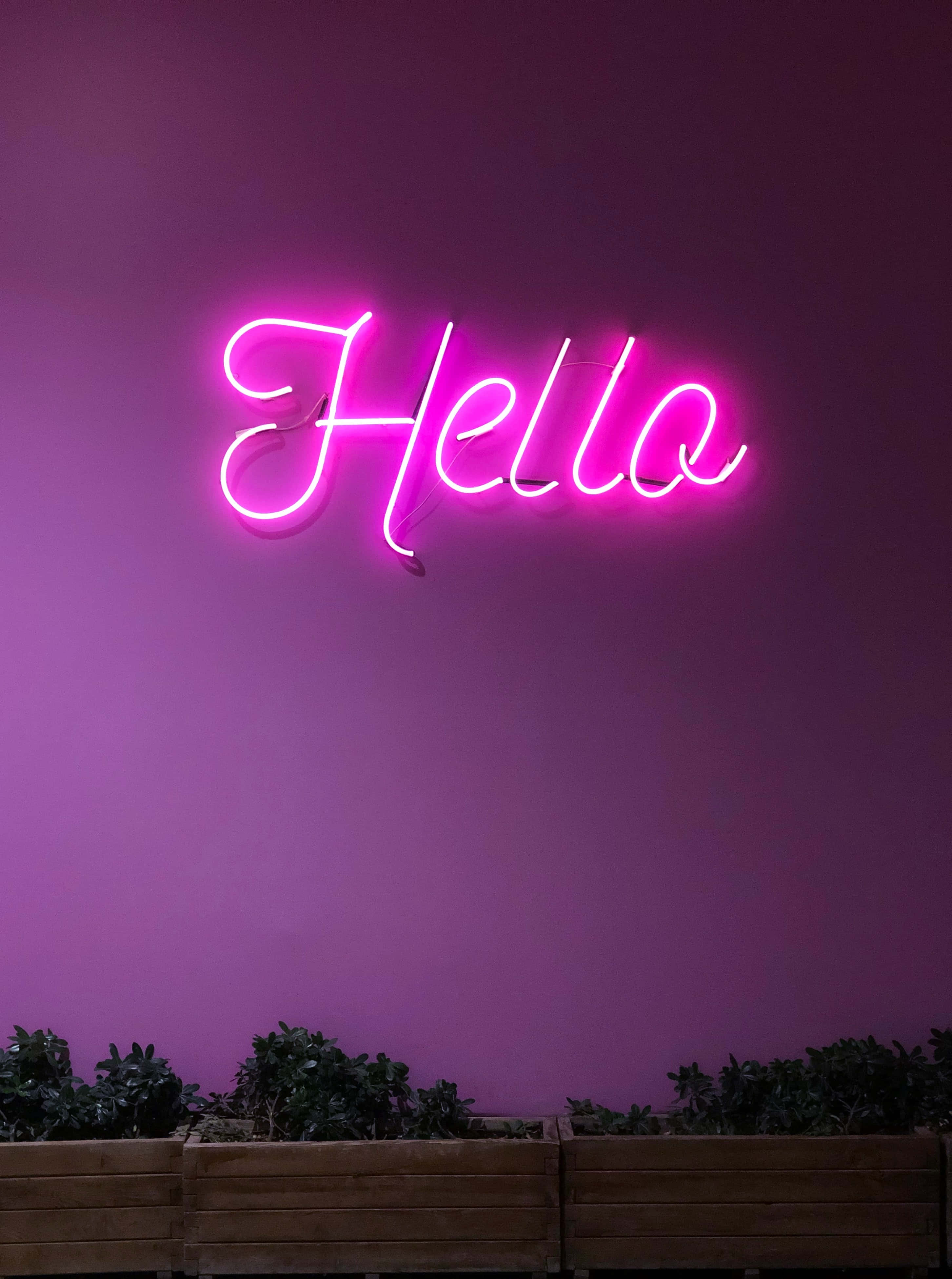 "Enjoy ng Isang Kakaibang Colorful Experience kasama ang Purple Neon" Wallpaper