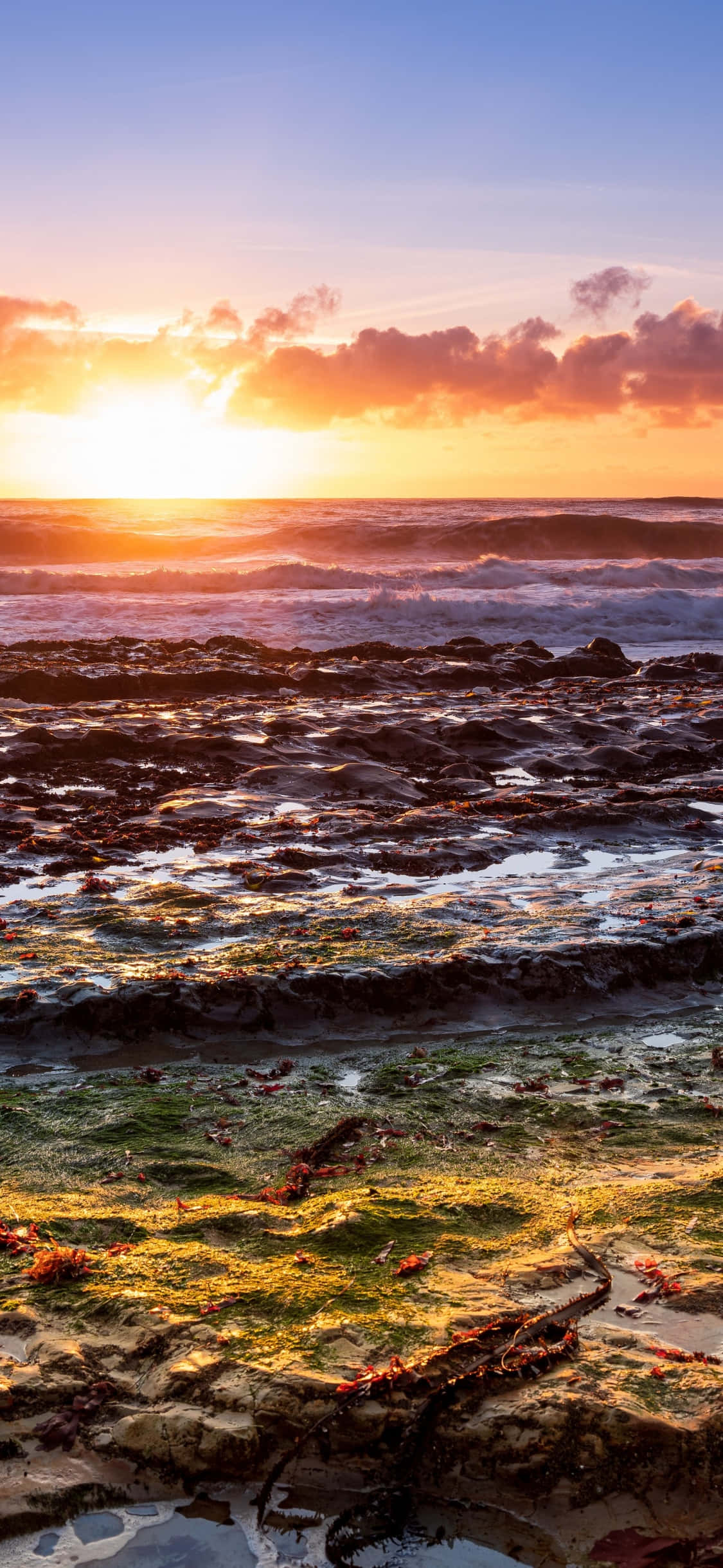 Tamasahin ang Baybayin ng California mula sa kahit saan kasama ng iPhone X Wallpaper