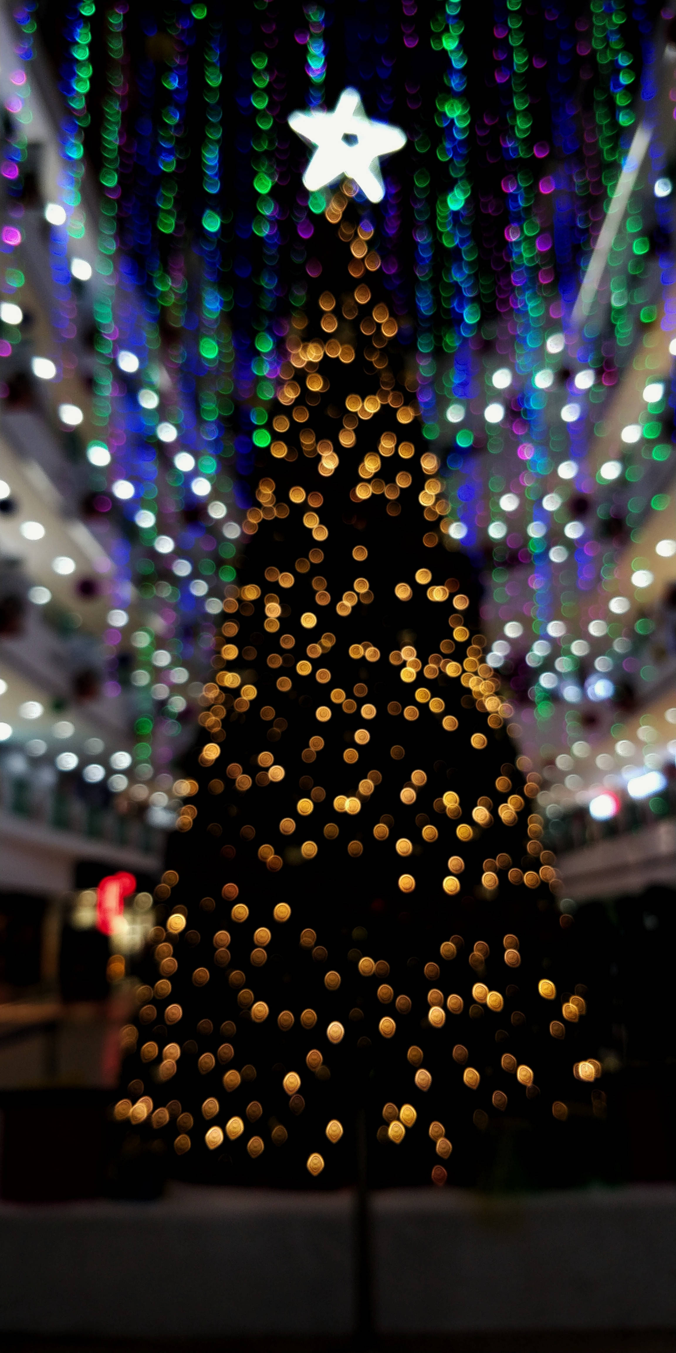 Enjoy the Magic of Christmas Lights Wallpaper