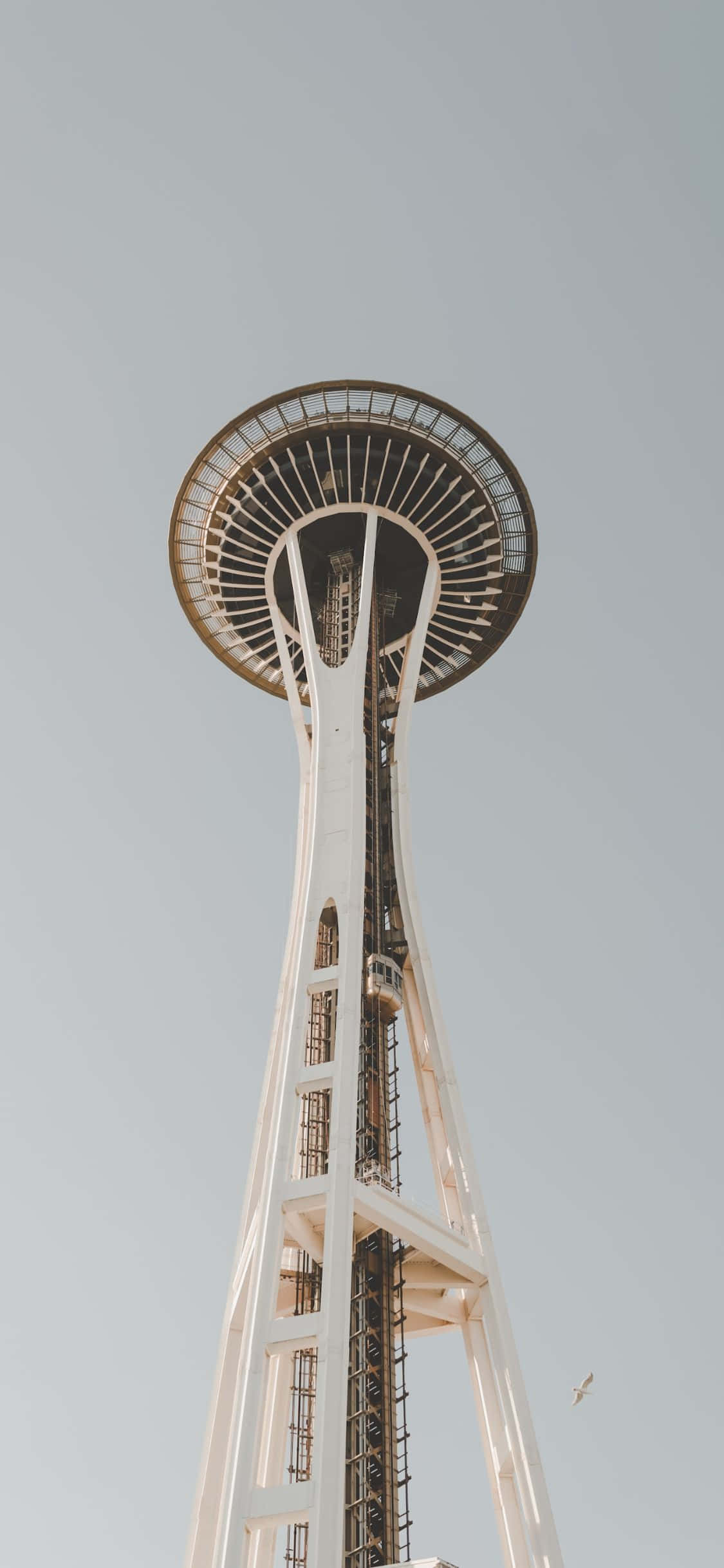 Enjoy the stunning Seattle skyline from the perspective of an iPhone X. Wallpaper