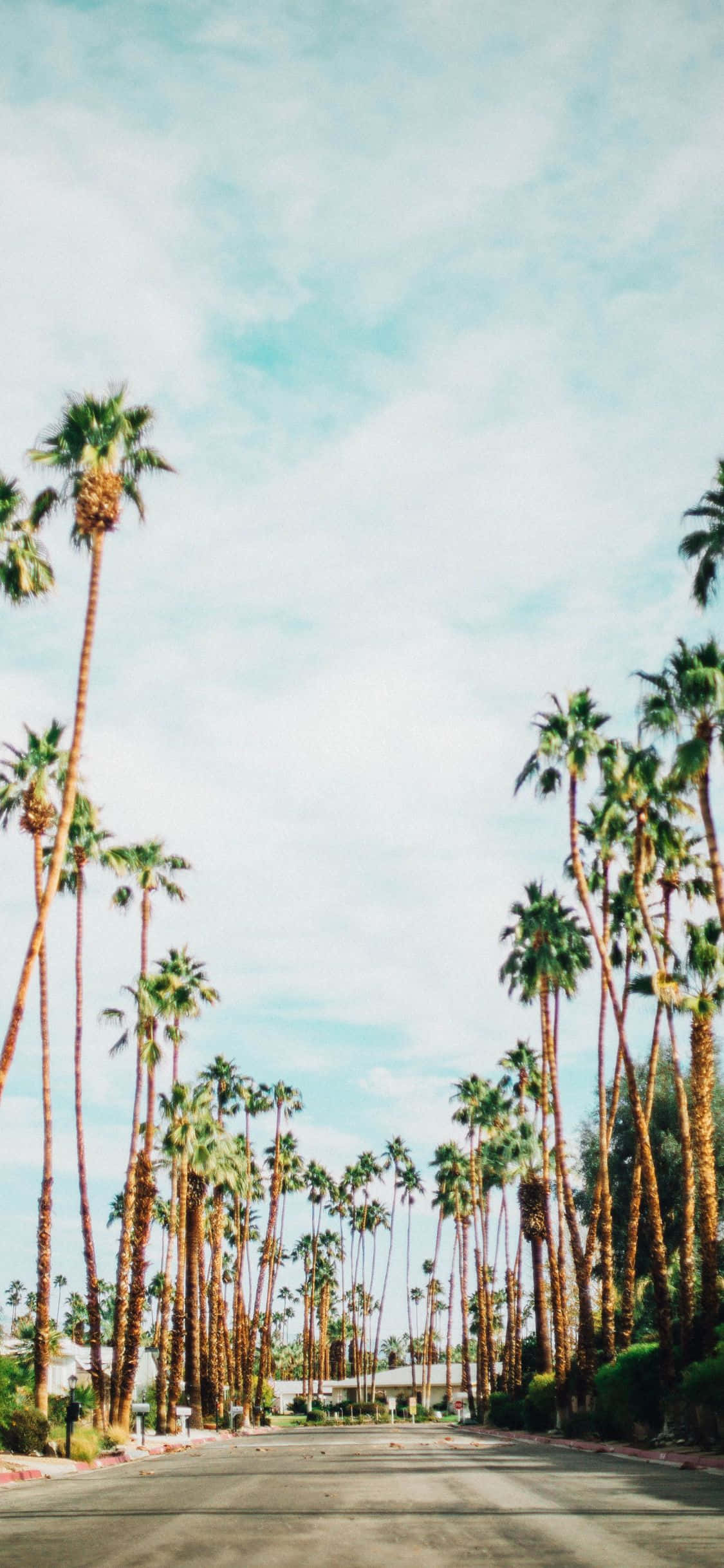Enjoy the sunset in California with iPhone Xs Wallpaper