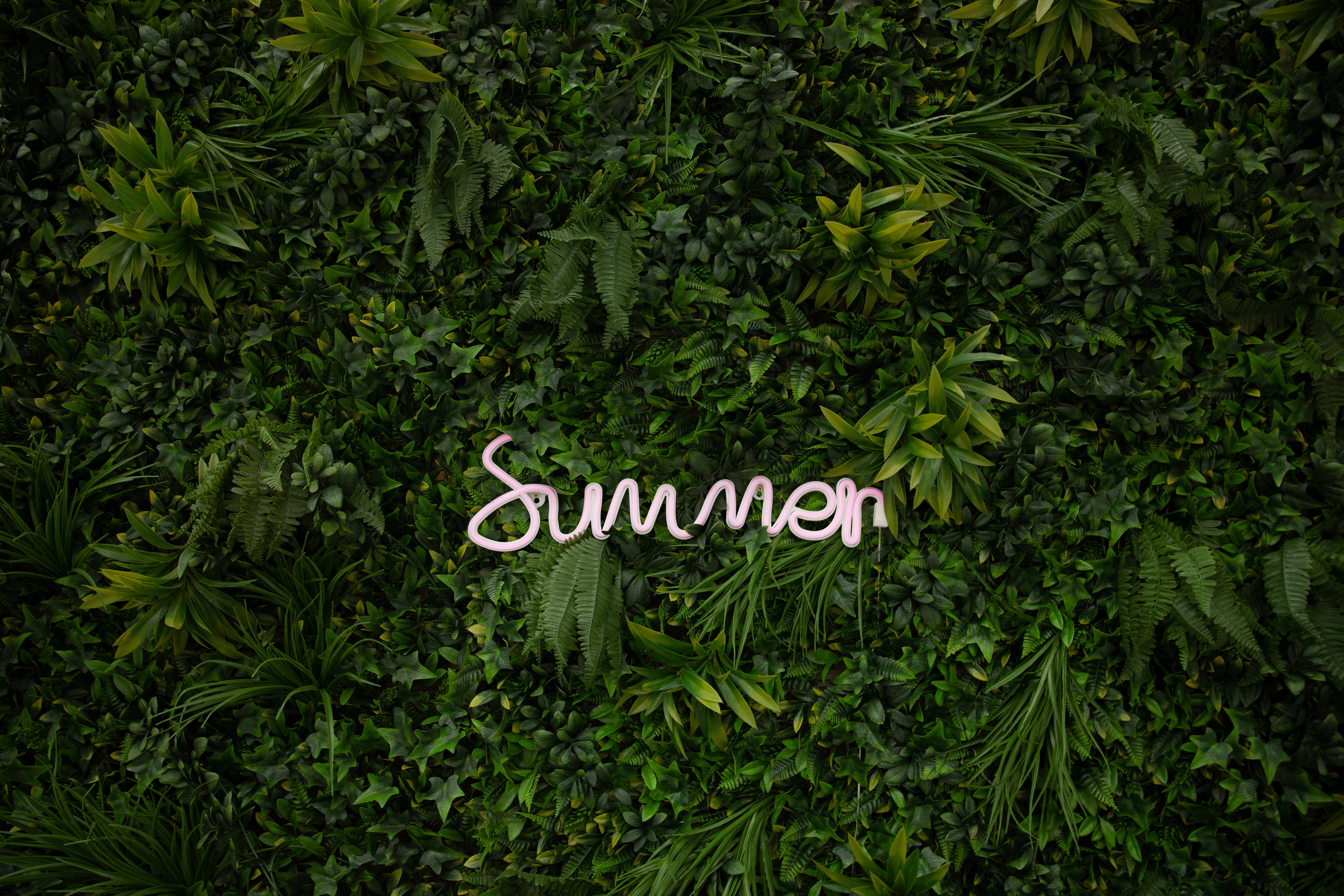 Magsaya ngayong Tag-init! Wallpaper