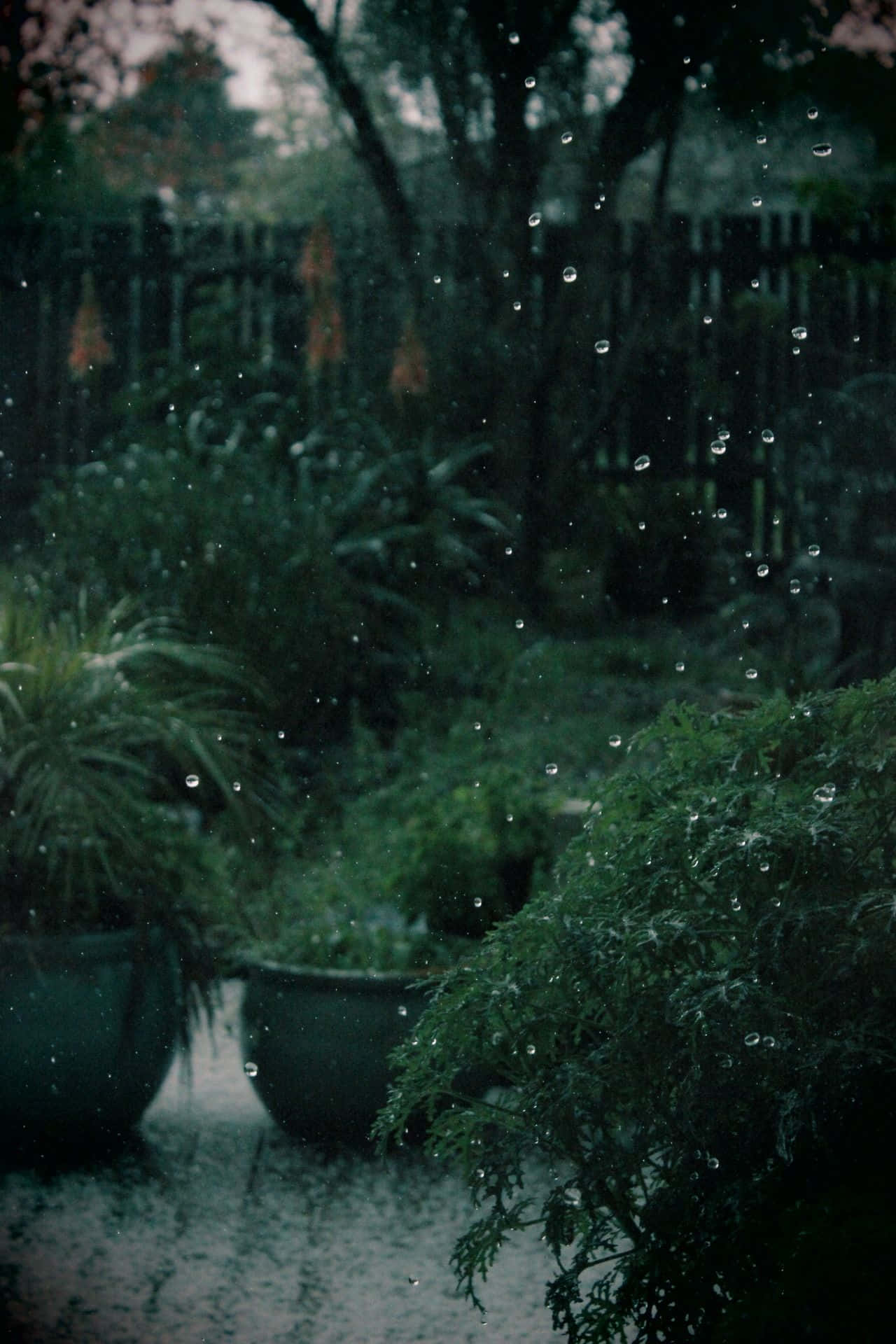 Enkanteng Dark Green Aesthetic Background Wallpaper