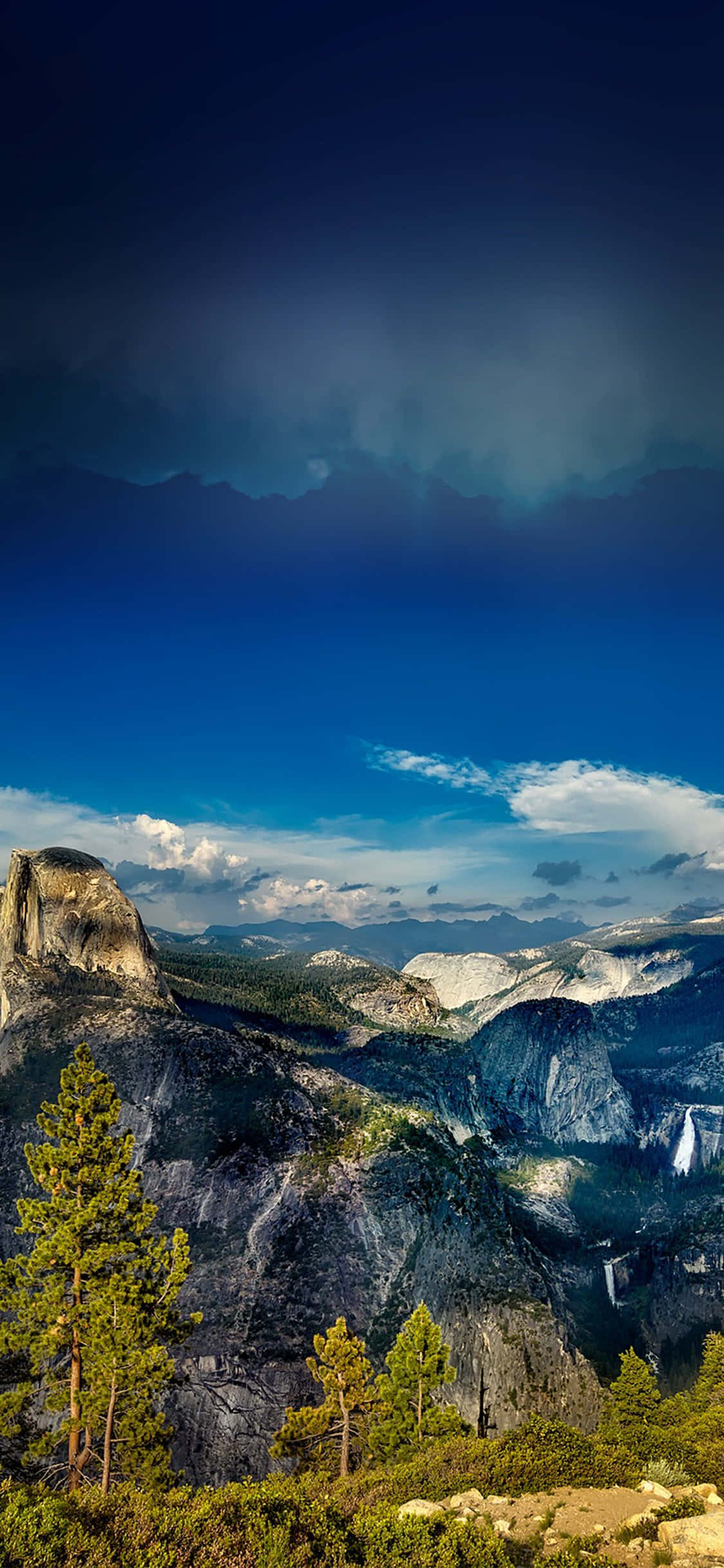 Enthralling Nature's Delight - iPhone X Background Wallpaper