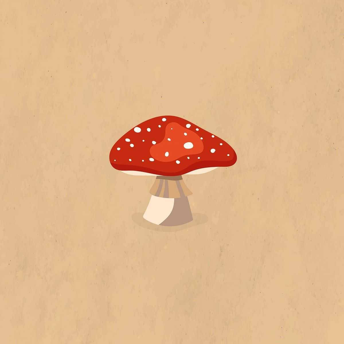 Estetika ng Pulang Sumbrerong Kabute Wallpaper