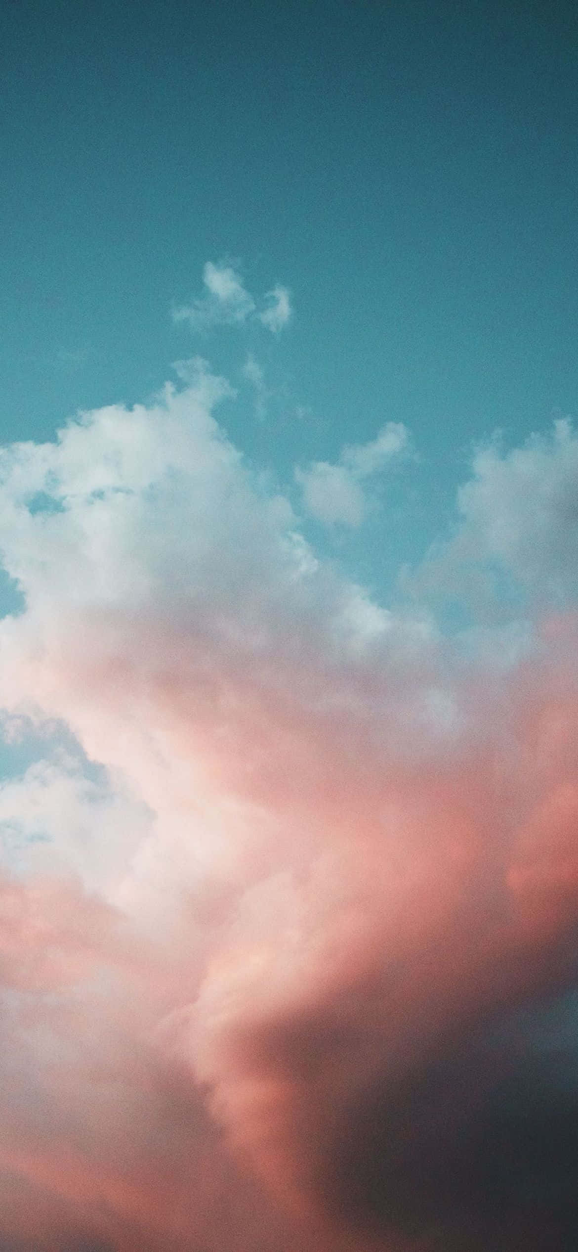 Explore ang Vibrant Color Palette ng Kalikasan Wallpaper