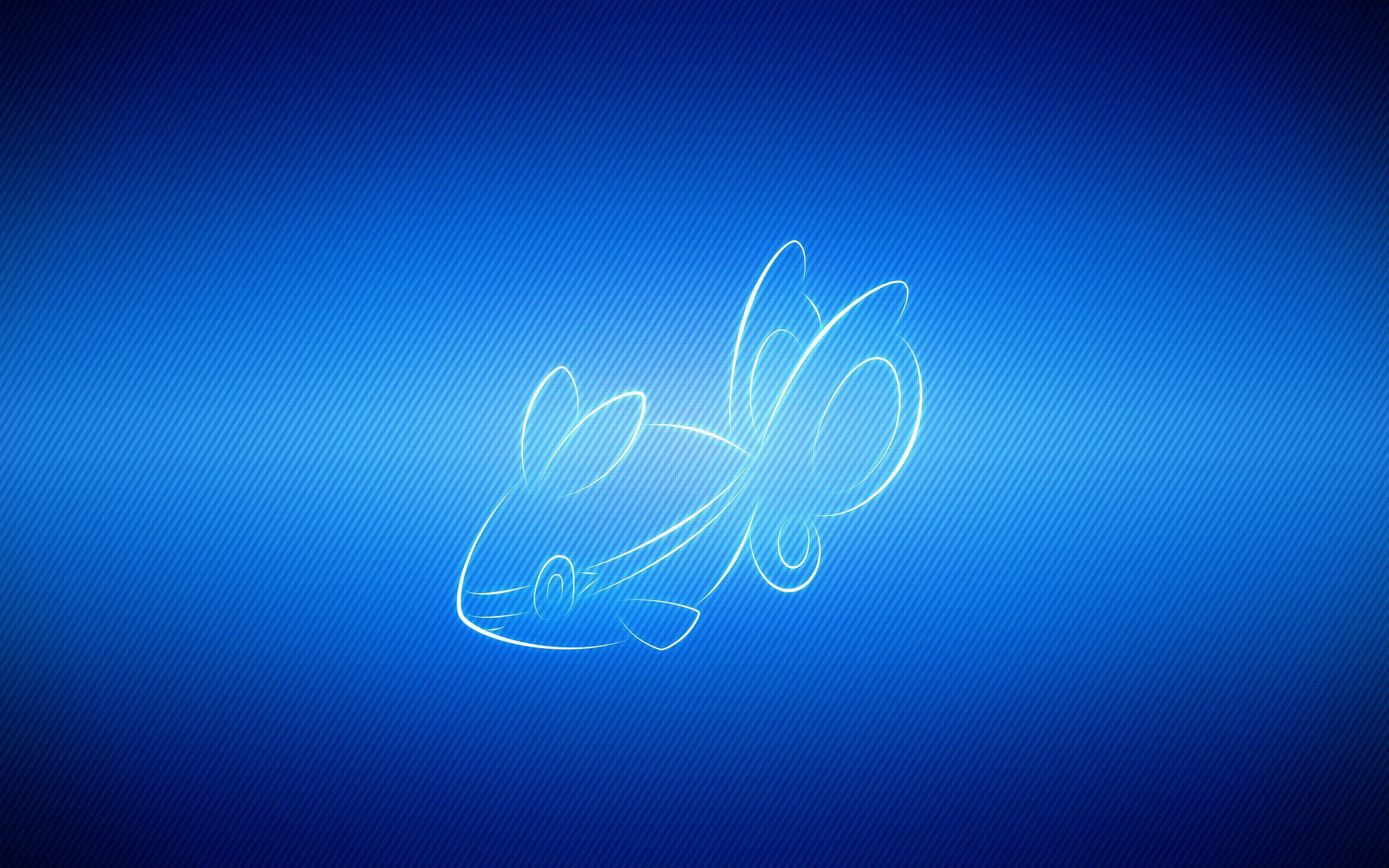 Finneon na Lumalangoy Malapit sa Coral Reef Wallpaper