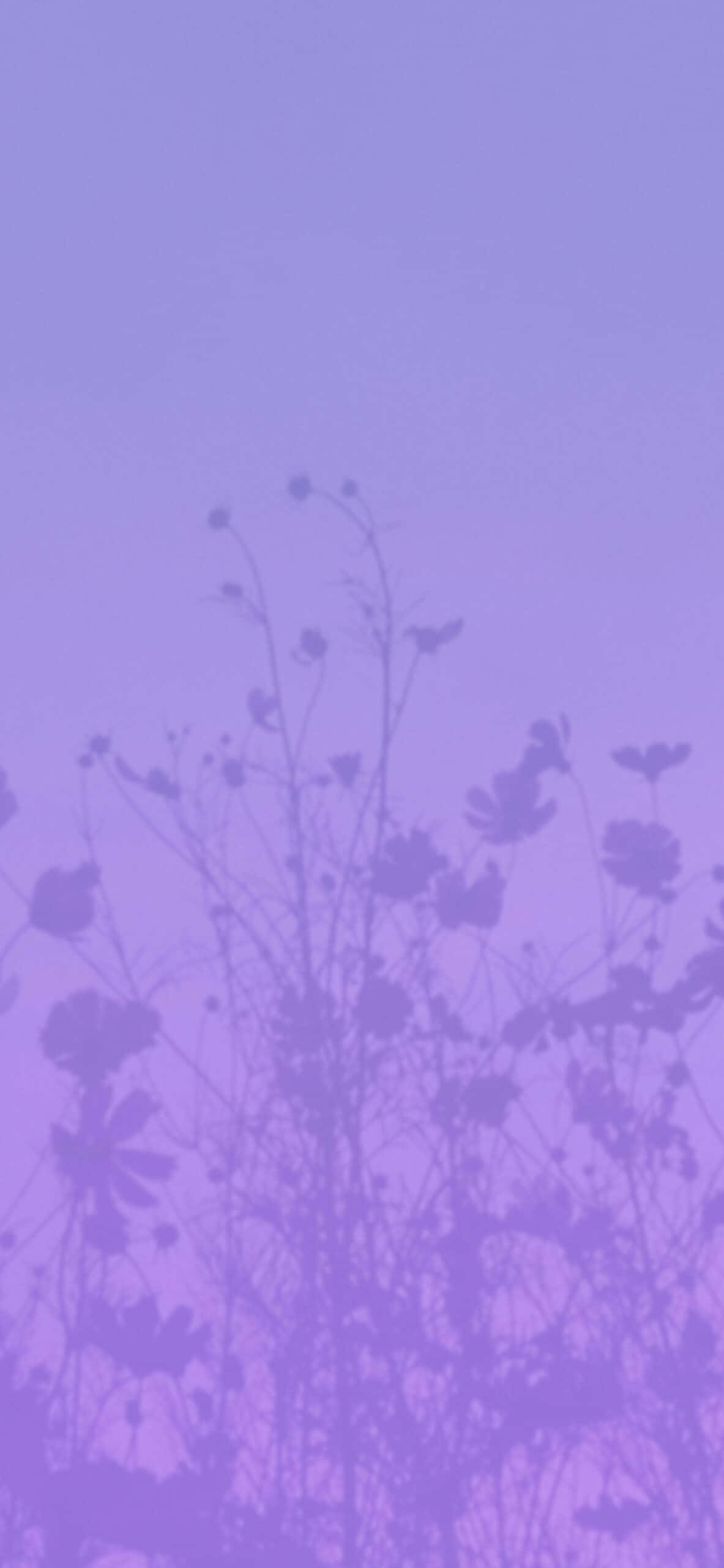 Mamulaklak sa Aesthetic Purple Wallpaper