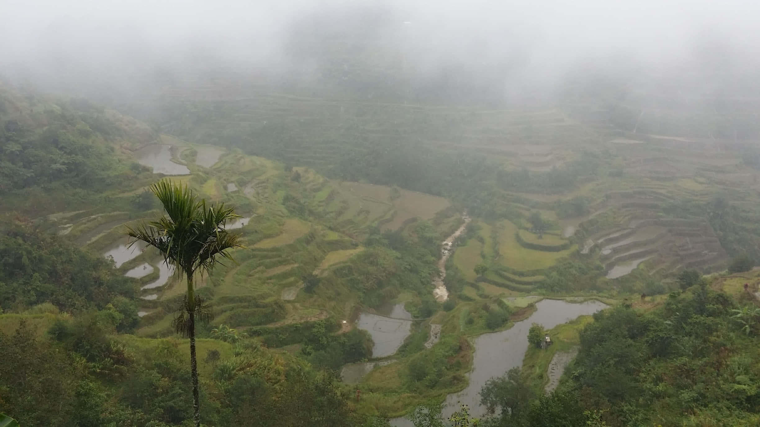 Foggy Banaue Rice Terraces sa Pilipinas Wallpaper