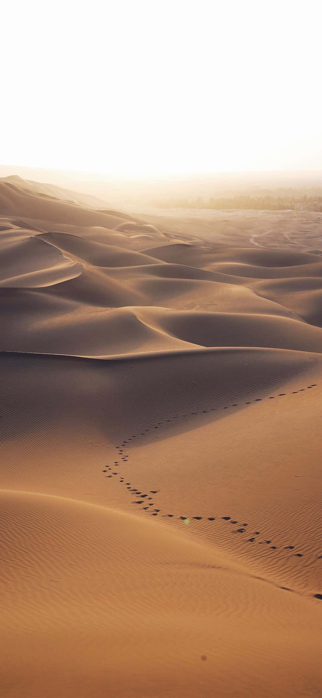 Footprints On The Sand Of Desert iPhone Wallpaper