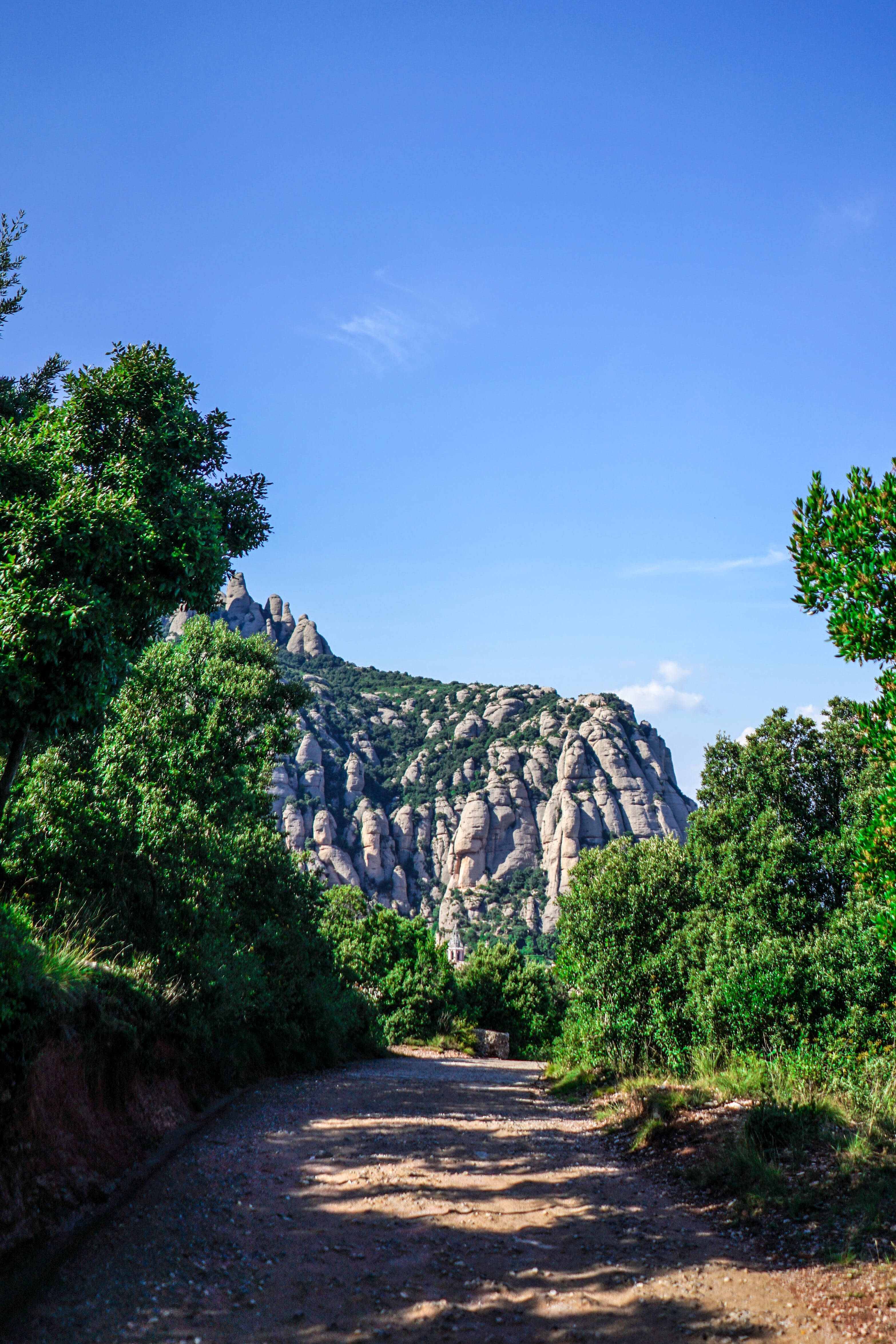 Forest Trail ng Montserrat Wallpaper