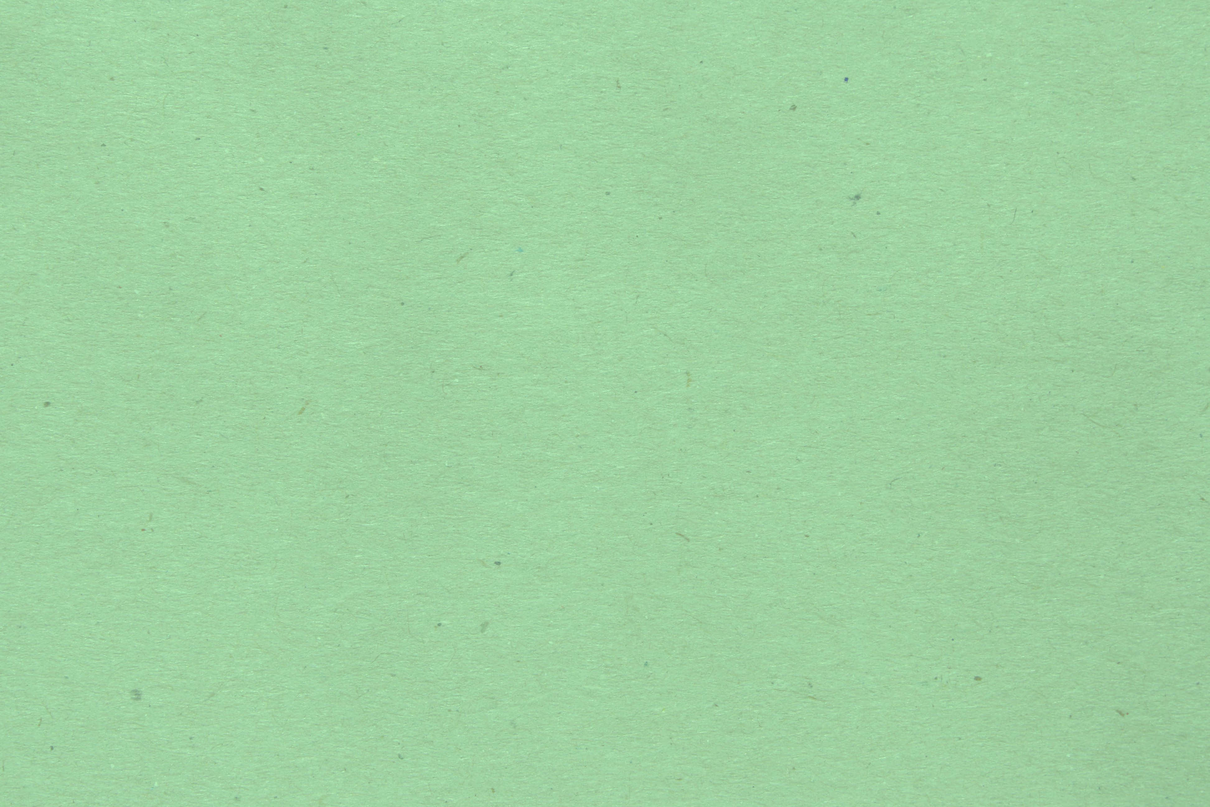 Sariwang Putol ng Mint Leaves Wallpaper