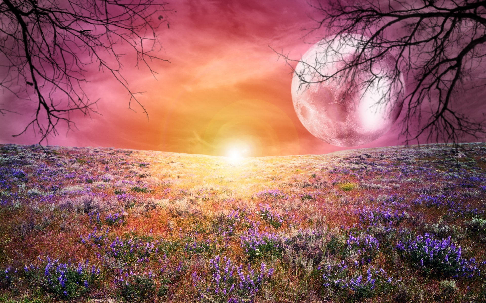 Galaxy Moon at Bulaklak na Parang Wallpaper