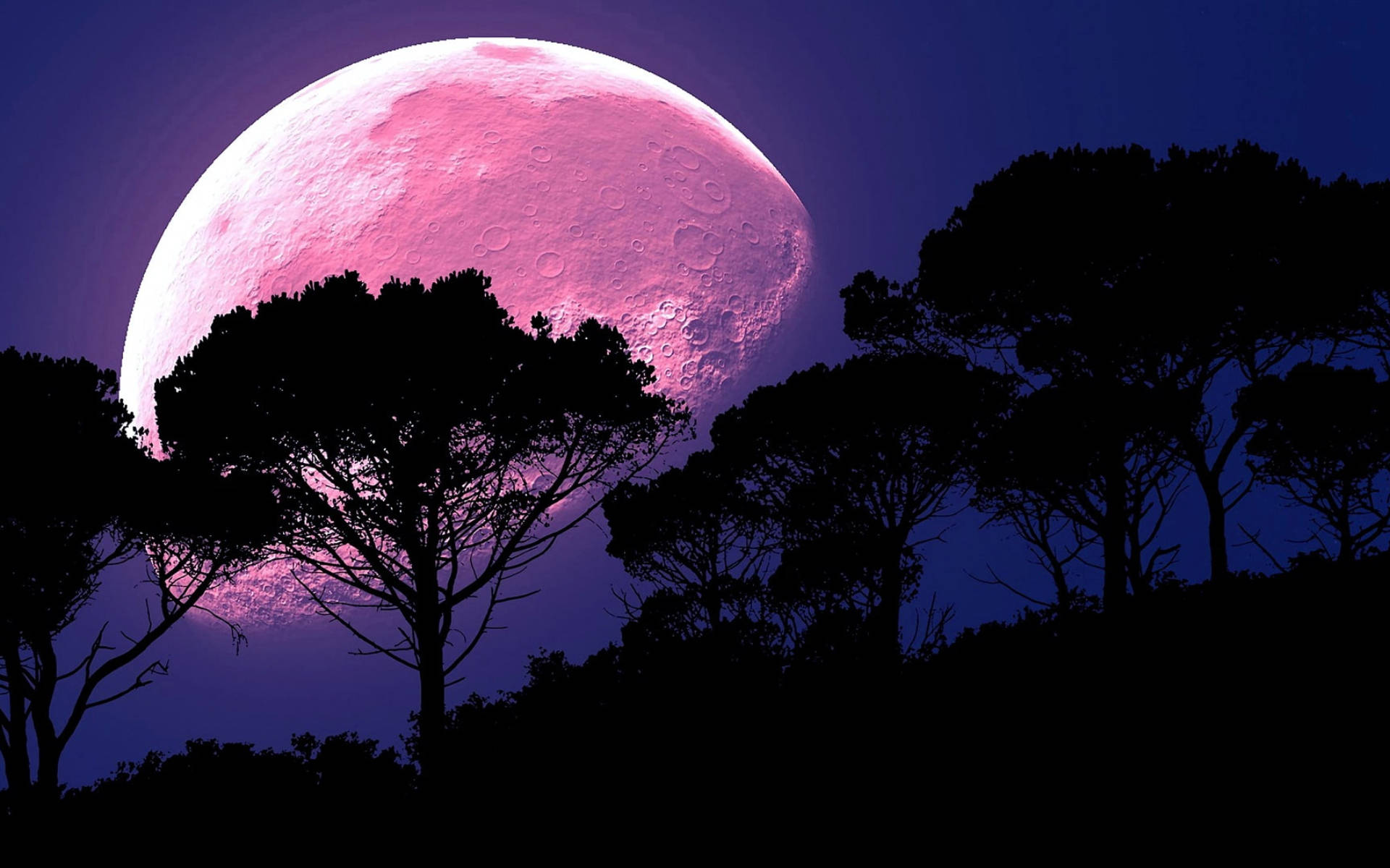 Galaxy Moon At Kagubatan Wallpaper