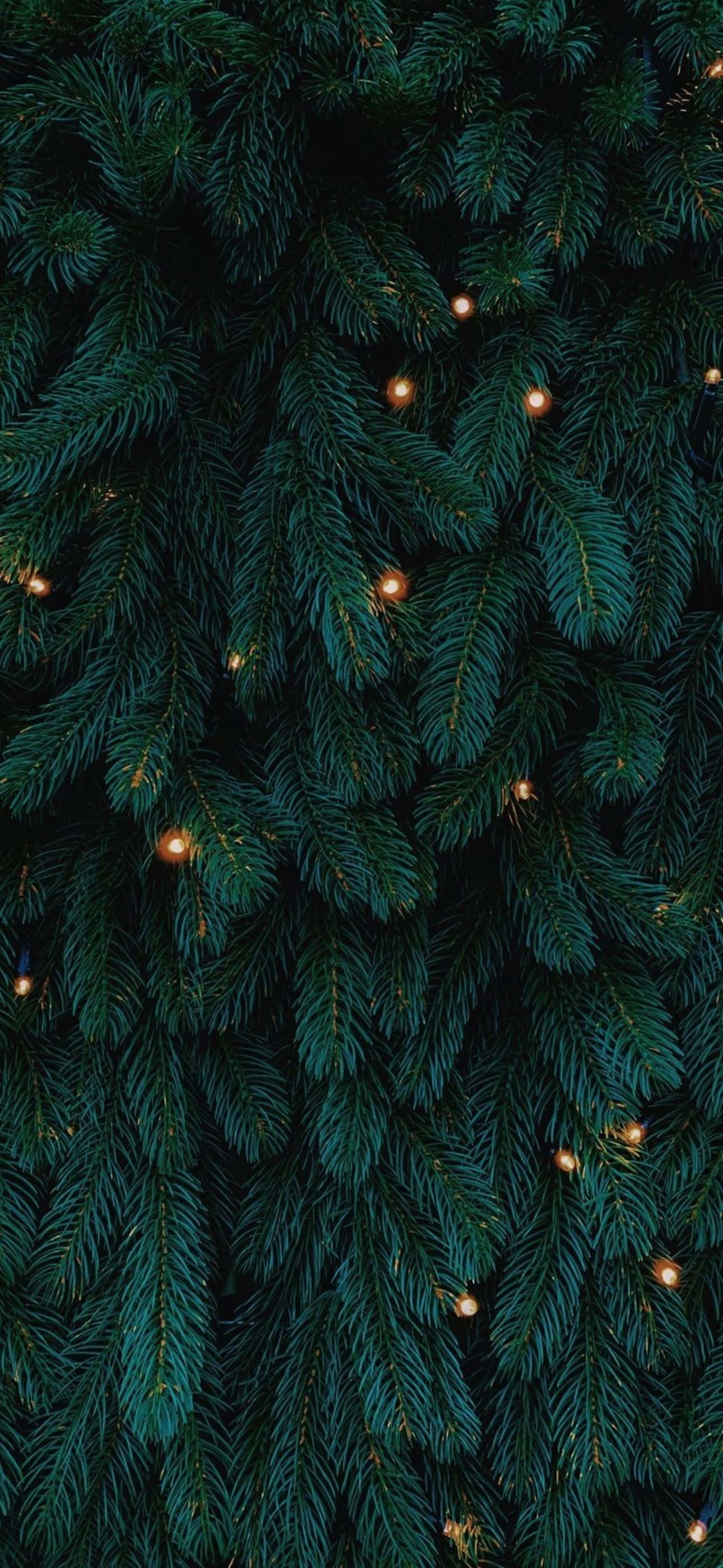 Gawing mag-festive ang iyong iPhone ngayong Pasko! Wallpaper