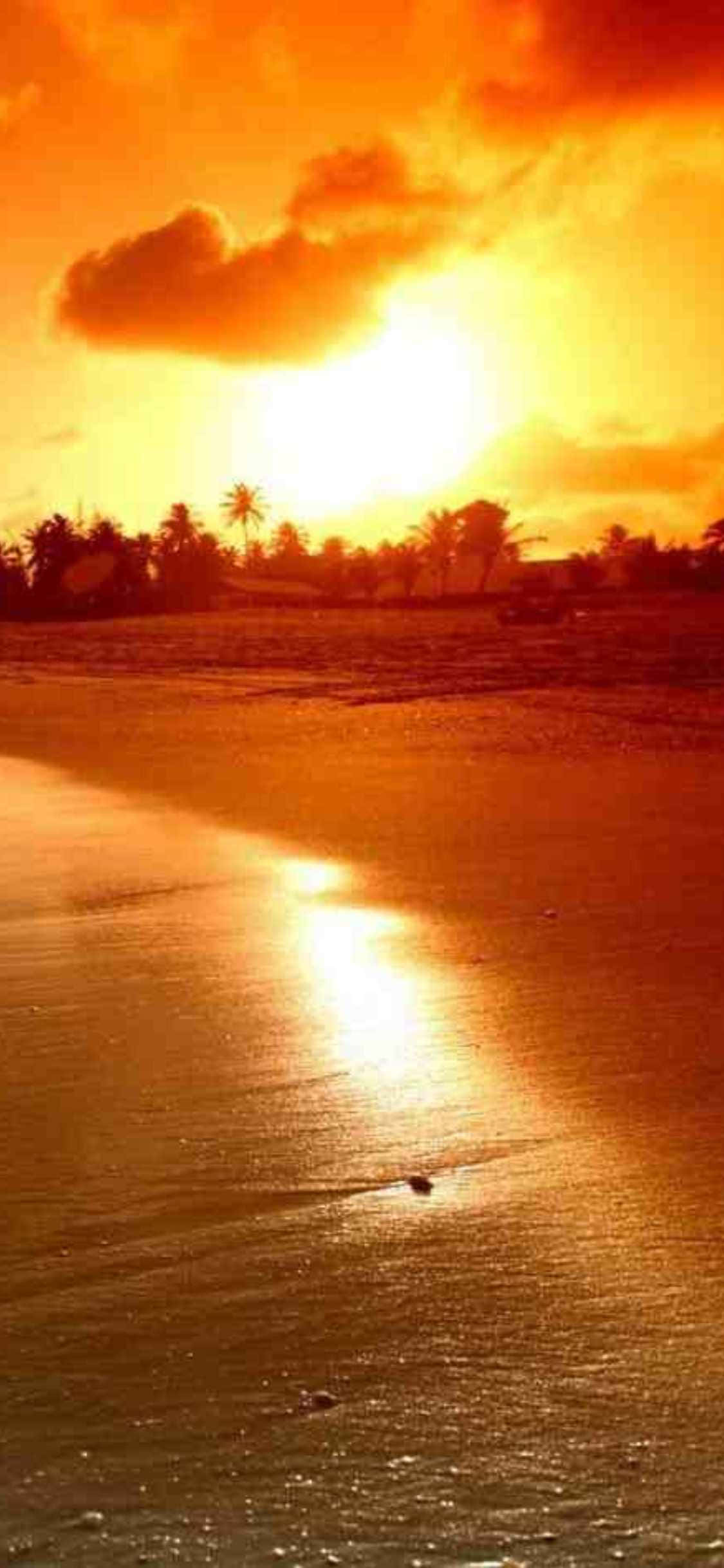 Kumuha ng napakagandang beachscape sa bawat pagtingin mo sa iyong iPhone Xs gamit ang wallpaper na ito ng Malibu, California! Wallpaper